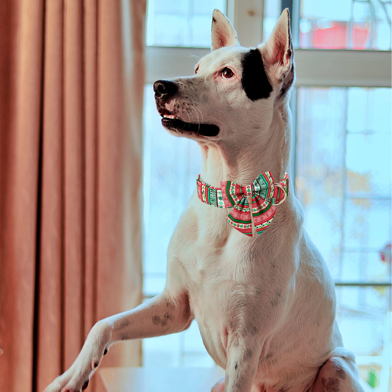 Mr. Chubbyface Christmas Plaid Dog Collar For Boy Girl Dogs Adjustable Red Green Dog Collar Sailor Bow Tie For Small Medium Larg