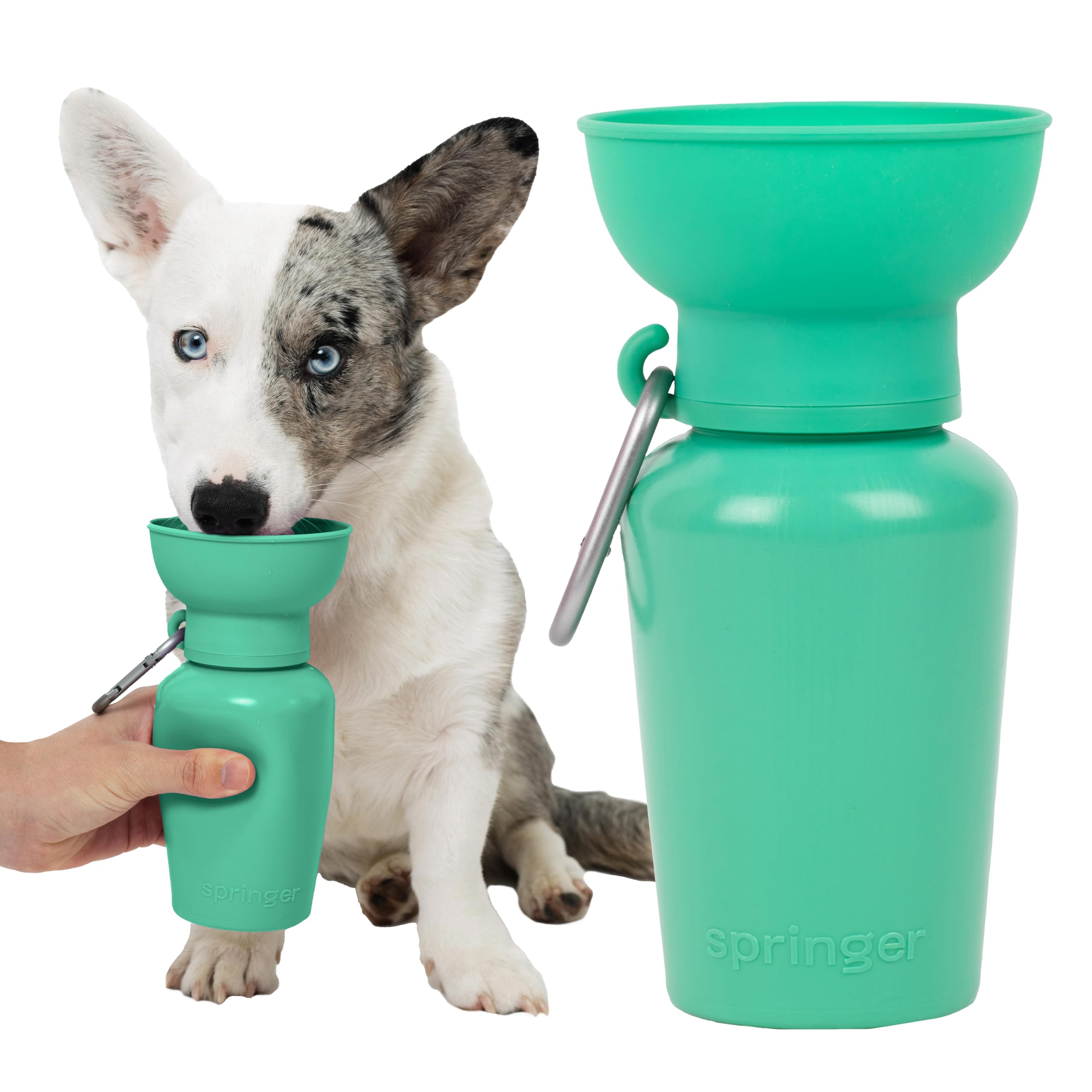 Springer Flip Portable Dog Water Bottle with Foldable Food Grade Silicone Bowl - 20 Ounce Travel Dog Water Bottle Ideal for Camp