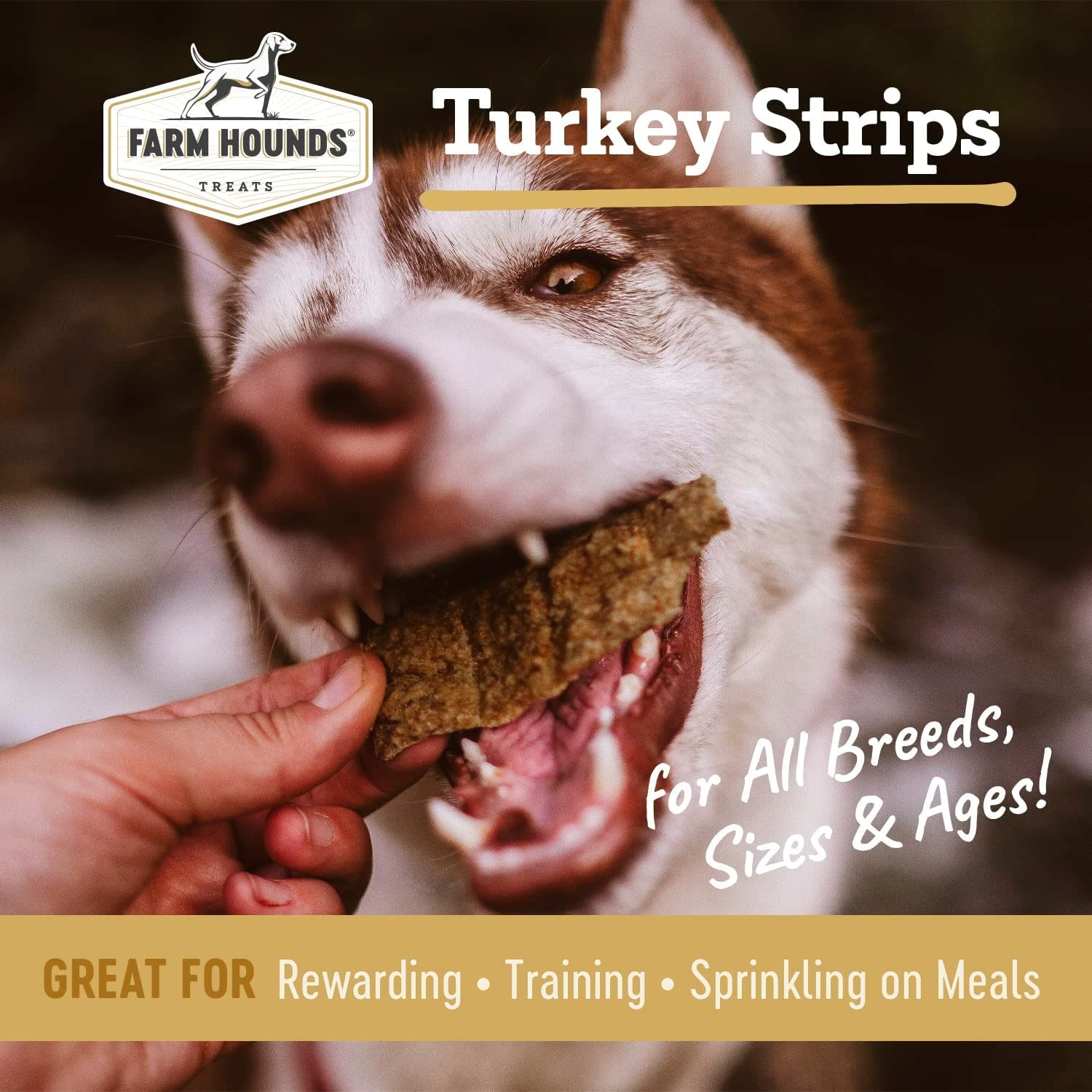 Farm Hounds - Turkey Strips - Premium Natural Jerky for Dogs - from 100% Humanely Raised Turkey - Break-to-Size - Great for Trai
