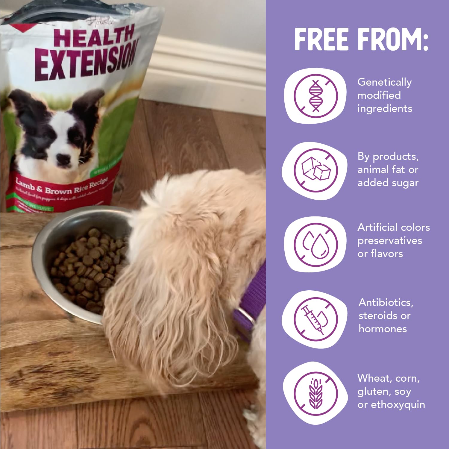 Health Extension Lamb & Brown Rice Dry Dog Food (4 lb / 1.81 kg) - Nutritious Free-Range Lamb Formula with Probiotics, Antioxida