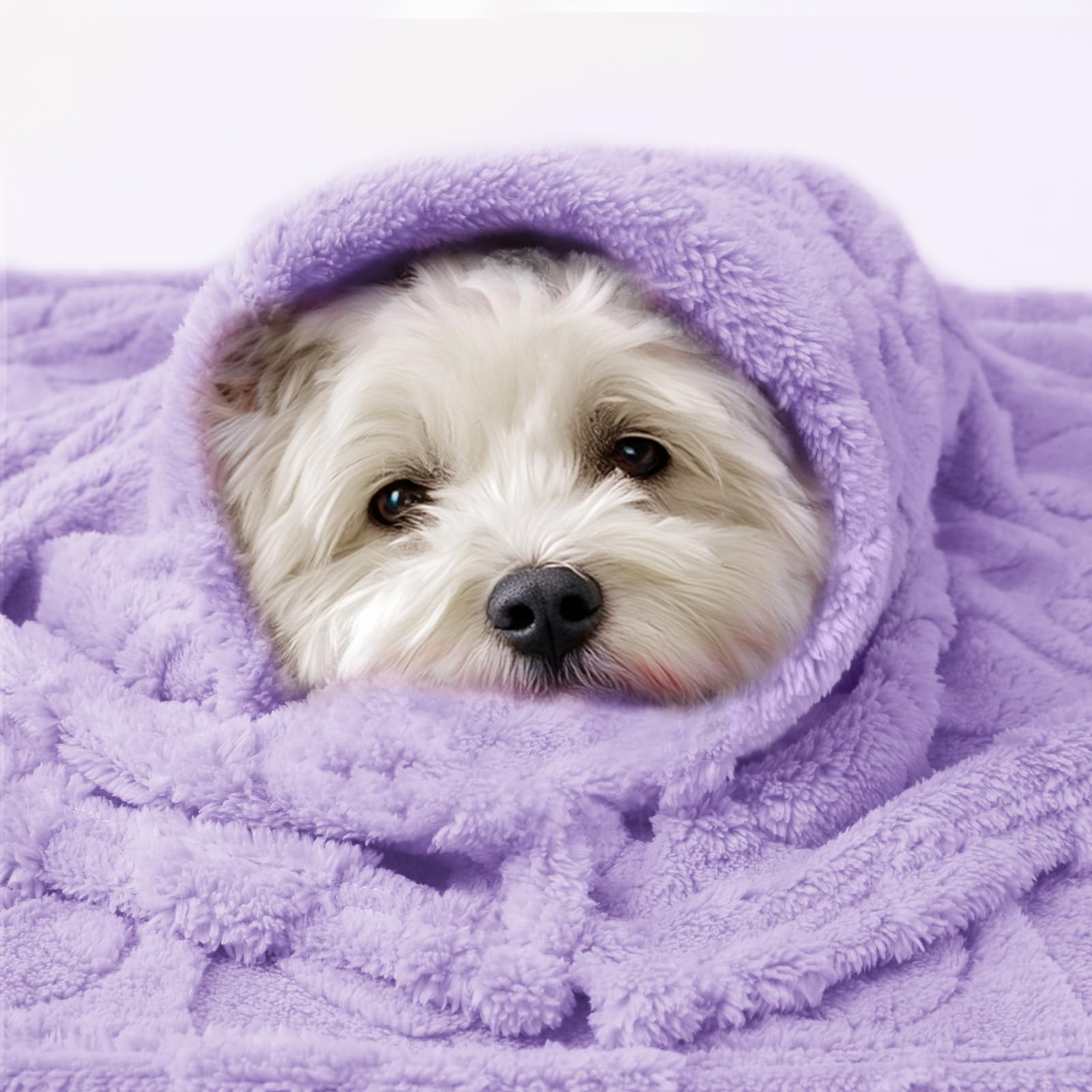 Luciphia Small Dog Blanket Washable Pet Bed Cover Soft Fluffy Puppy Blanket with Premium Fleece 300GSM Cozy Calming Cat Blankets