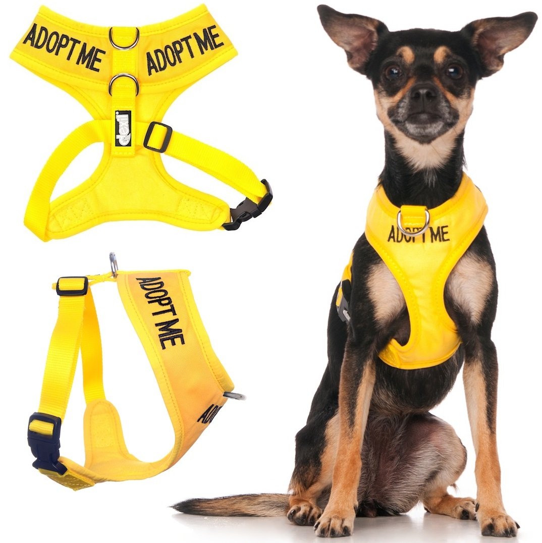 Dexil Limited Adopt Me Yellow Color Coded Non-Pull Front And Back D Ring Padded And Waterproof Vest Dog Harness Donate To Your L