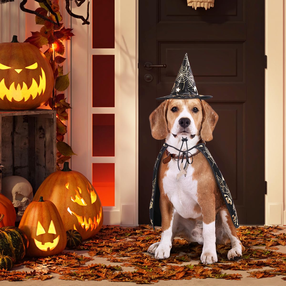 Pet Halloween Costumes Cape With Wizard Hat Dog Cat Halloween Apparels (Size S)
