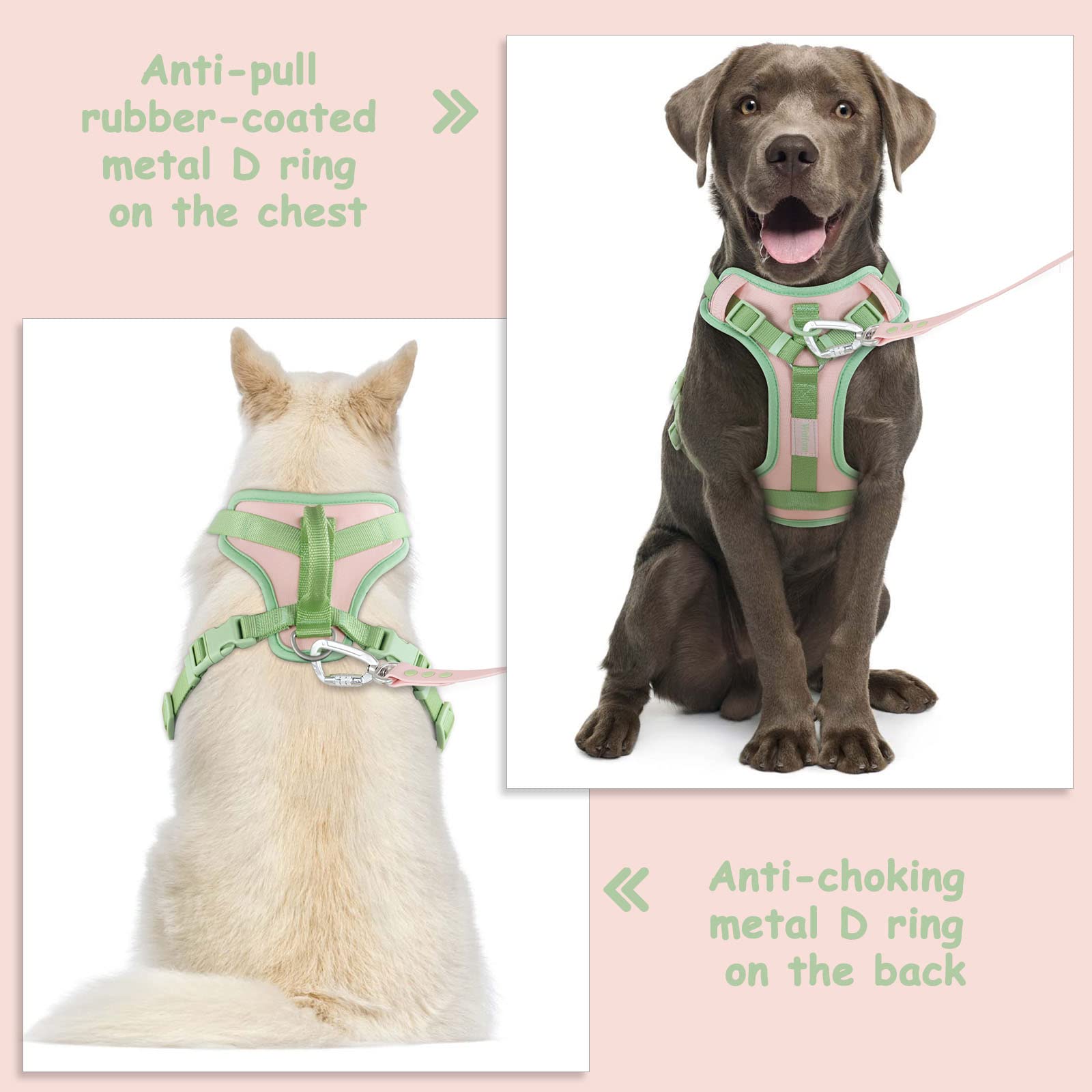Wolfone No Pull Dog Harness Adjustable Soft Padded Pet Vest With Control Handle Adorable Daily Harness For Dogs(Gossamer Pink Xl