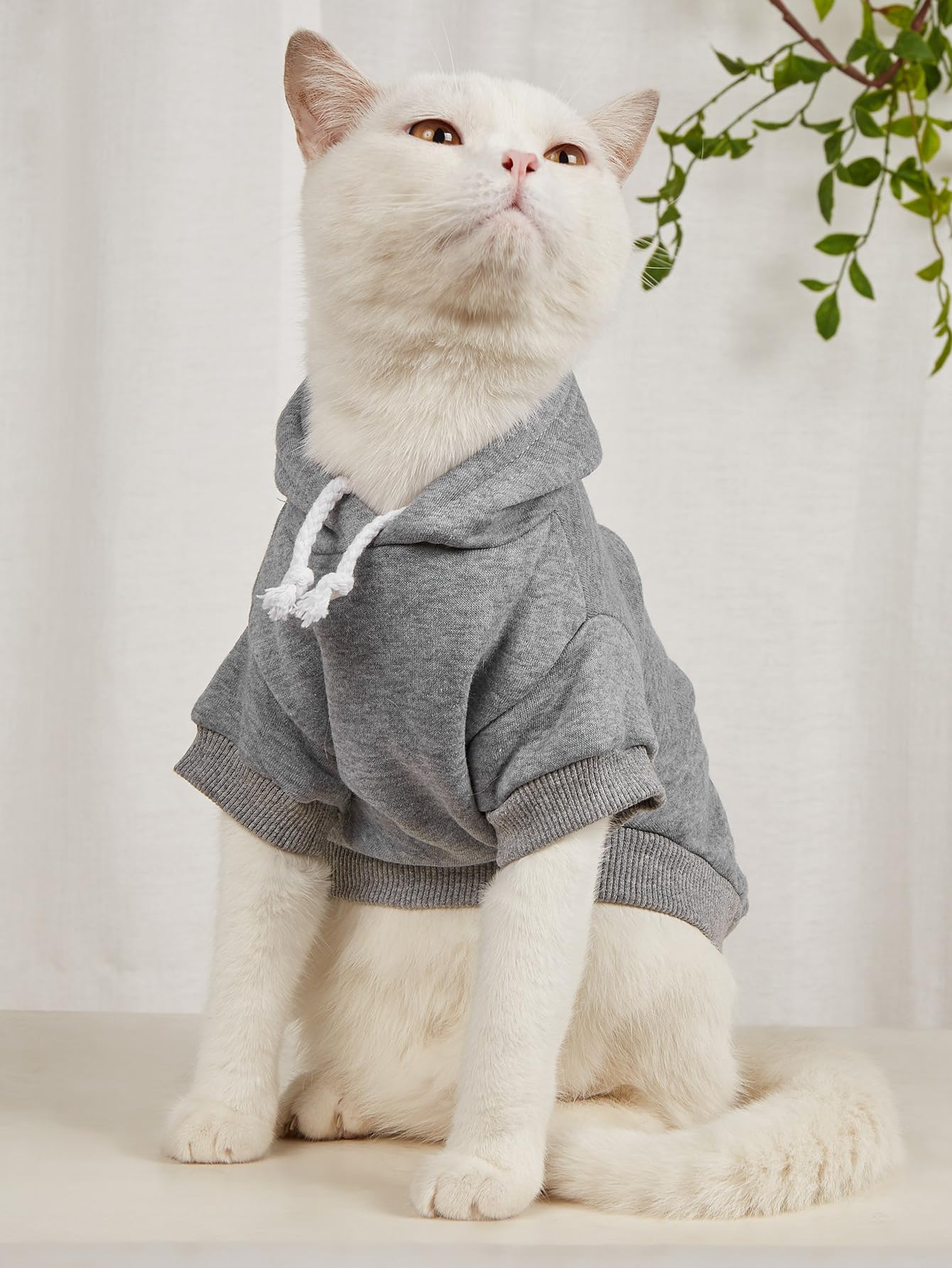 Qwinee 2Pc Cat & Dog Apparel - Warm Jacket & Shirt For Puppy, Kitten, Small, Medium Dogs & Cats - Grey & Cadet Blue Xl