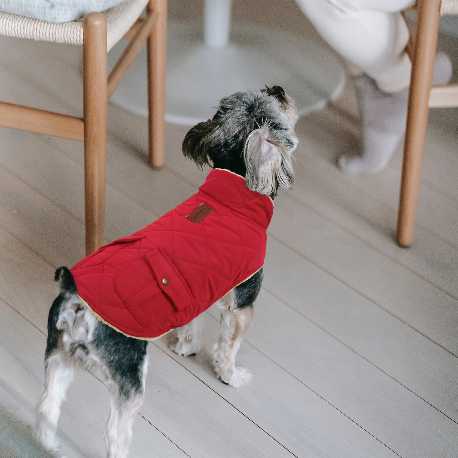Queenmore Warm Dog Coat, Cold Weather Puffer Dog Coat, Quilting Winter Dog Jacket Ultra Thick Plush Lining With Storage Pockets (Red, X-Small)