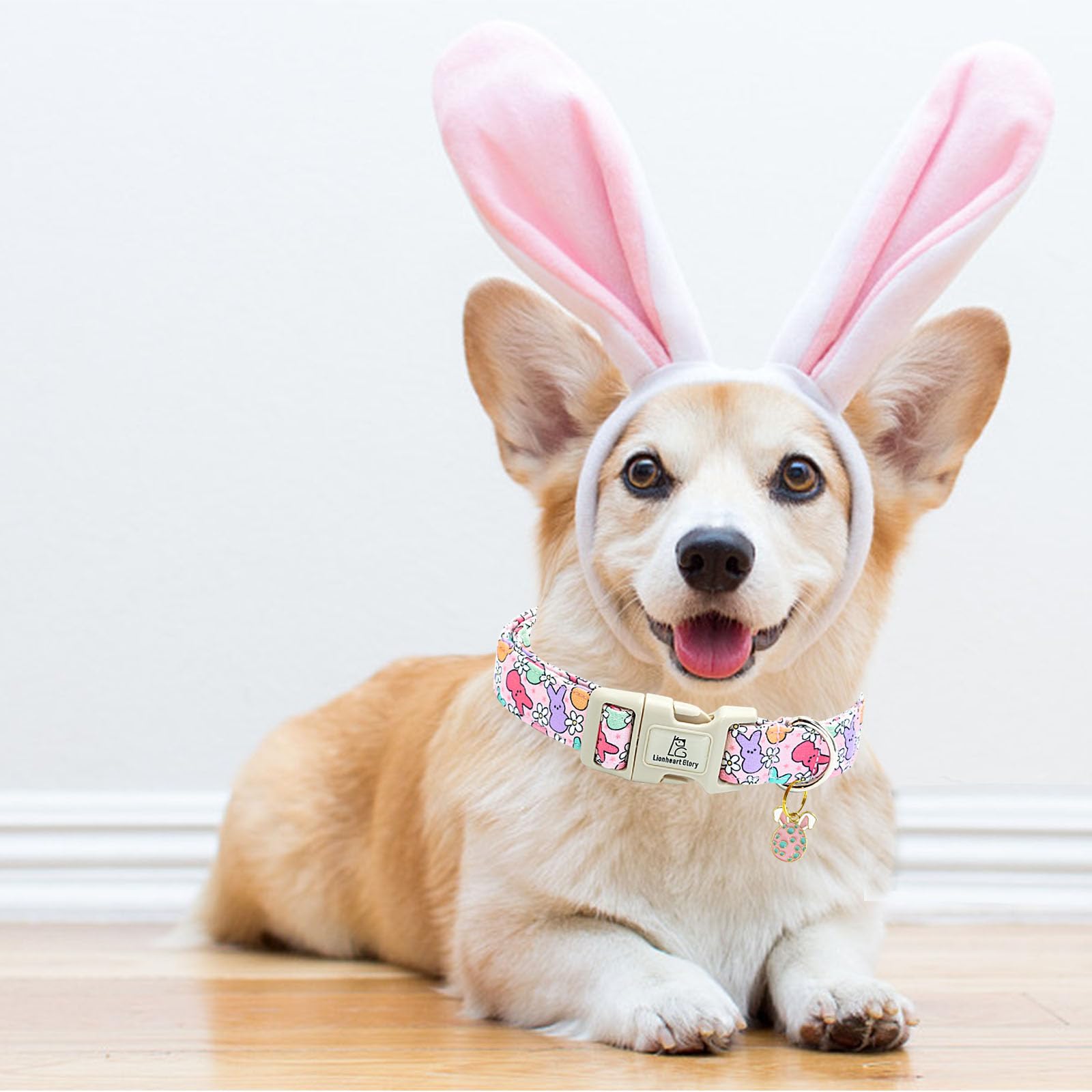 Lionheart Glory Easter Dog Collar Colorful Collar For Small Dog Collars Easter Egg Print Dog Collars Spring Female Or Male Pet G