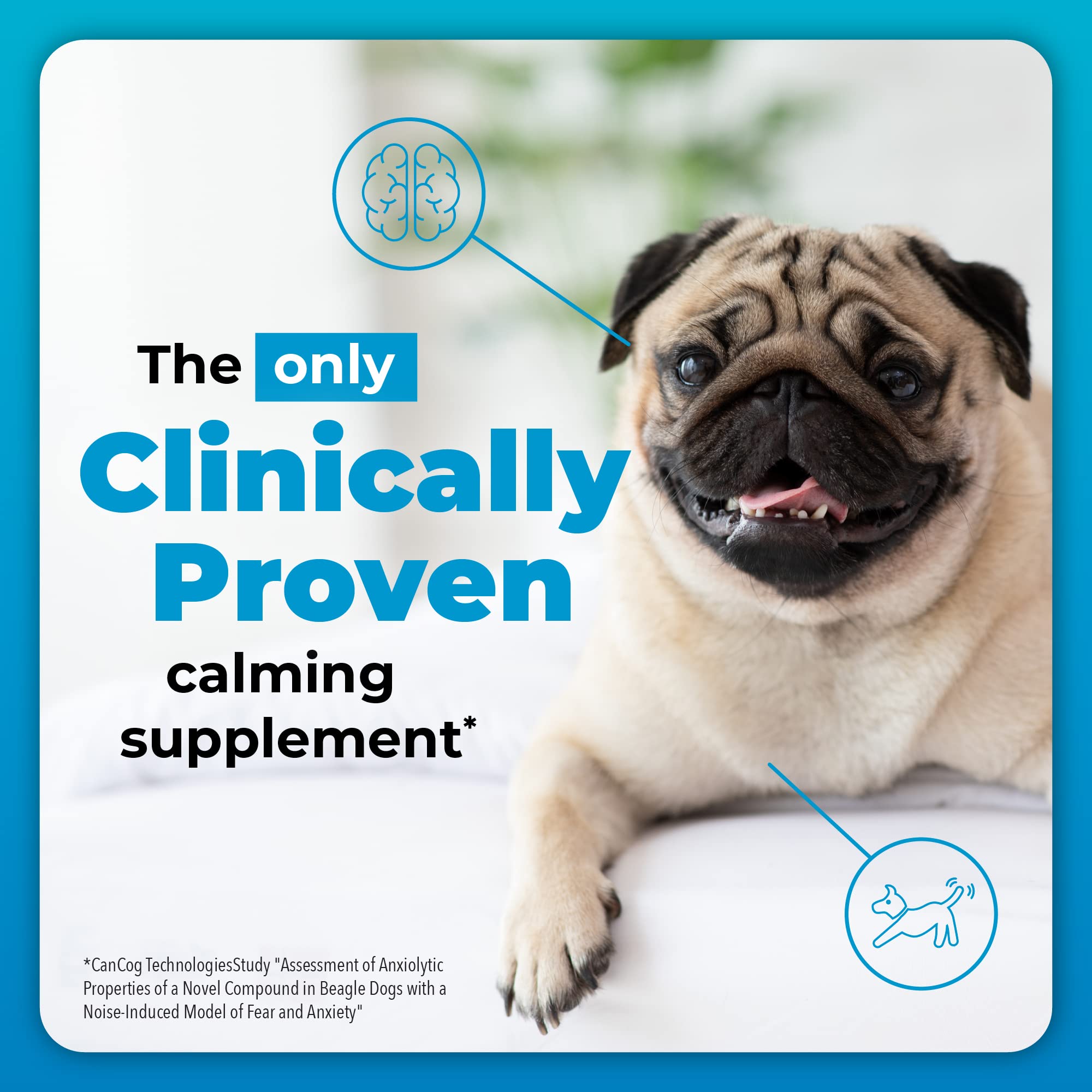 VetriScience Composure Calming Chews for Dogs - Clinically Proven Dog Anxiety Relief Supplement with Colostrum, L-Theanine & Vit