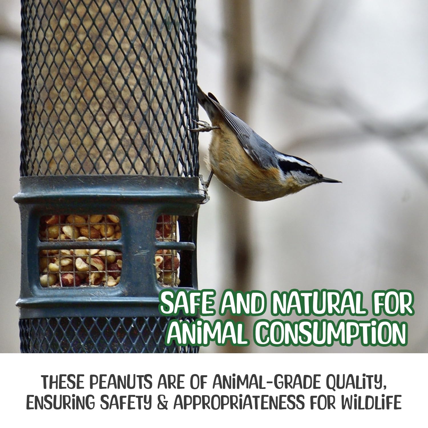 Sneaky Mango Premium Quality Raw Peanuts in Shell - 8 Pounds - All-Natural Food for Squirrels, Deer, Birds, and Other Wildlife A