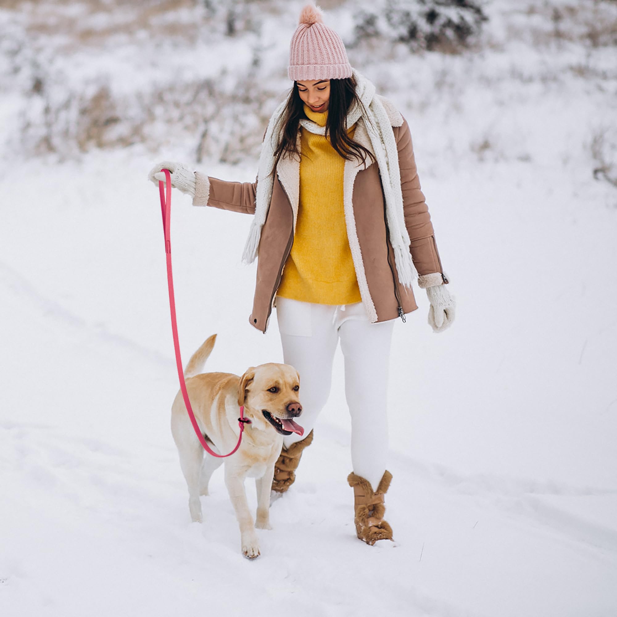 Dogline Biothane Slip Dog Leash - For Small, Medium And Large Dogs - Odor Free Slip Lead, Heavy Duty And Durable Material Kennel Lead - Passionfruit Pink - 7Ft L X 1/2In W