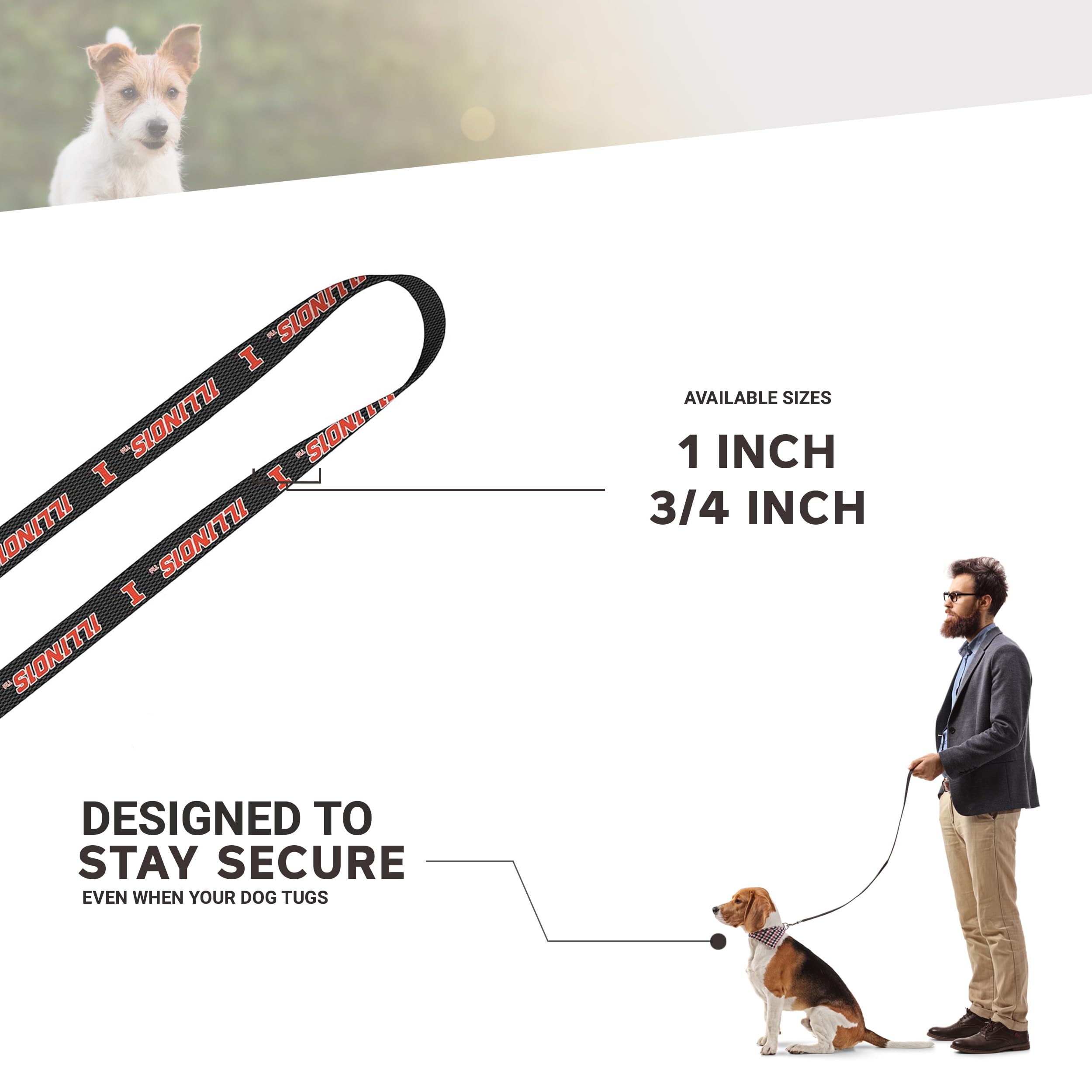 Moose Pet Wear Leash 1' X 4', University Of Illinois - Carbon Fiber