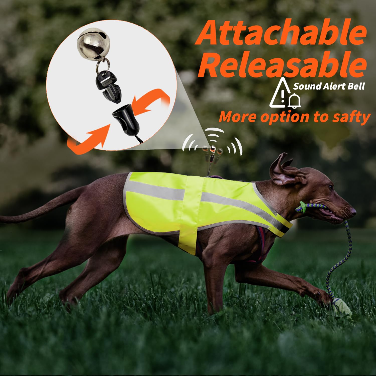 Reflective Dog Vest For Large And Xl Breeds, High Visibility Dog Safety Vest Harness With Removable Bell Keep Safe From Hunting,