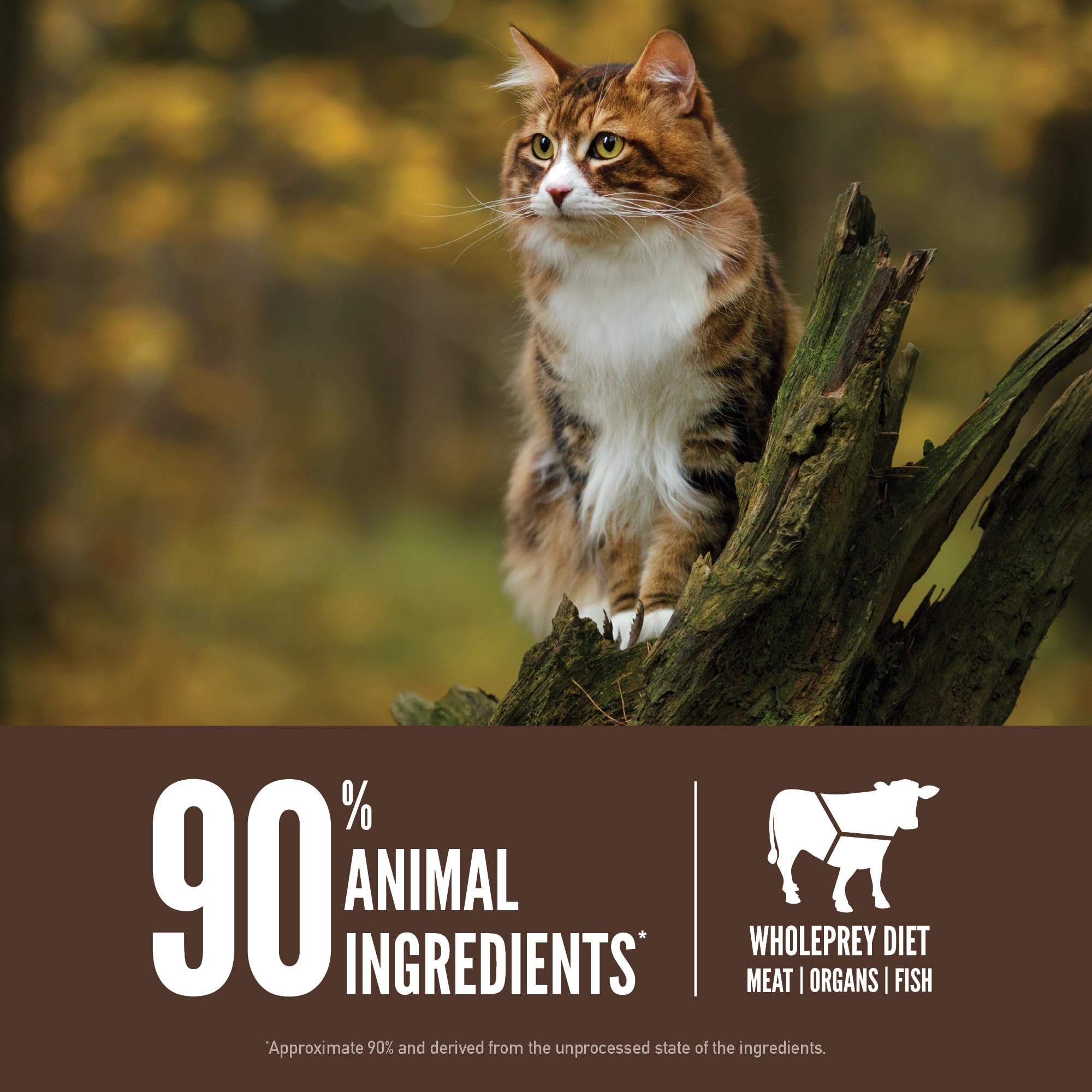 ORIJEN Regional RED Grain-Free Dry Cat Food, WholePrey Ingredients, 4lb, Brown