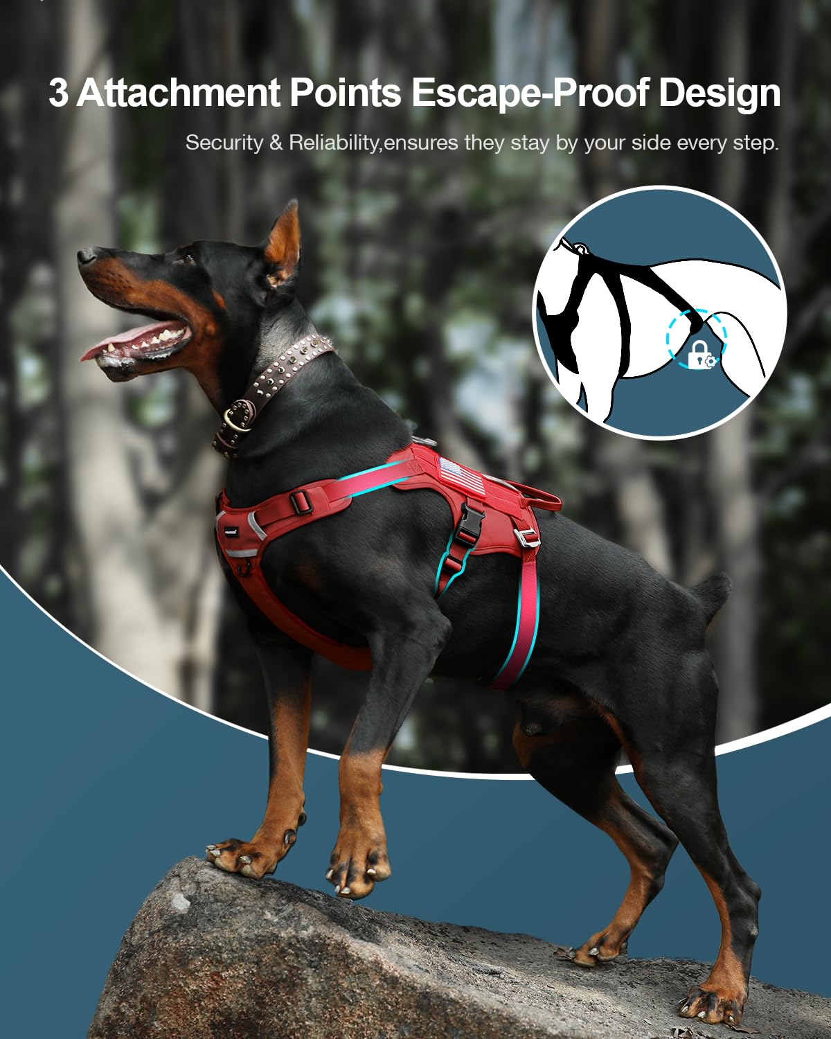 FAYOGOO Tactical Dog Harness for Large Dogs - Dog Harness Escape Proof with Handle - No Pull Military Service Dog Vest with Remo