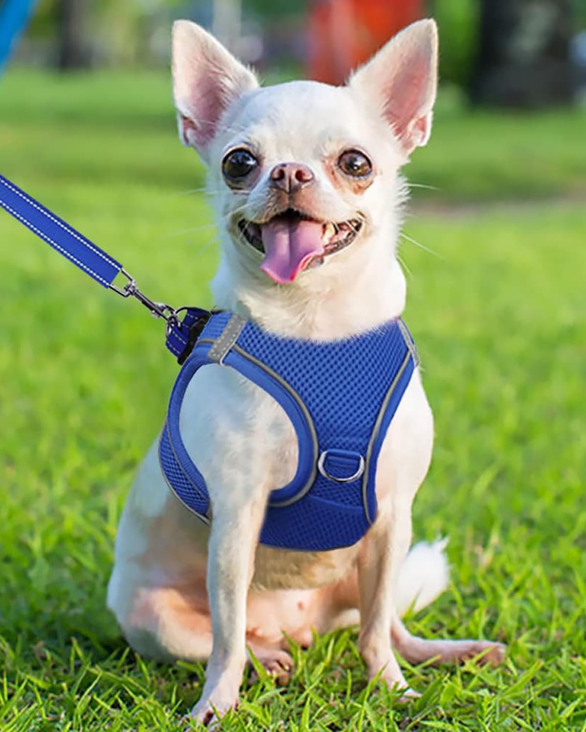 Joytale Small Dog Harness, Breathable Mesh Step-In Vest, Reflective Soft Padded Harnesses For Puppies And Extra Small Dogs, Navy