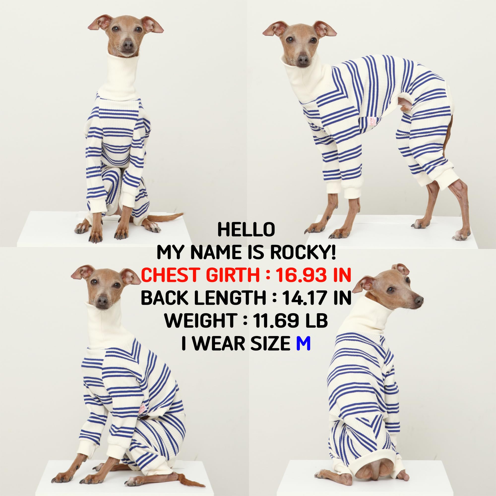 D Doggy Star Italian Greyhound Clothes Soft Stretchy Onesie Refined Stripe Outfit Whippet For Dog Coat (M,Onsi Blue Str)
