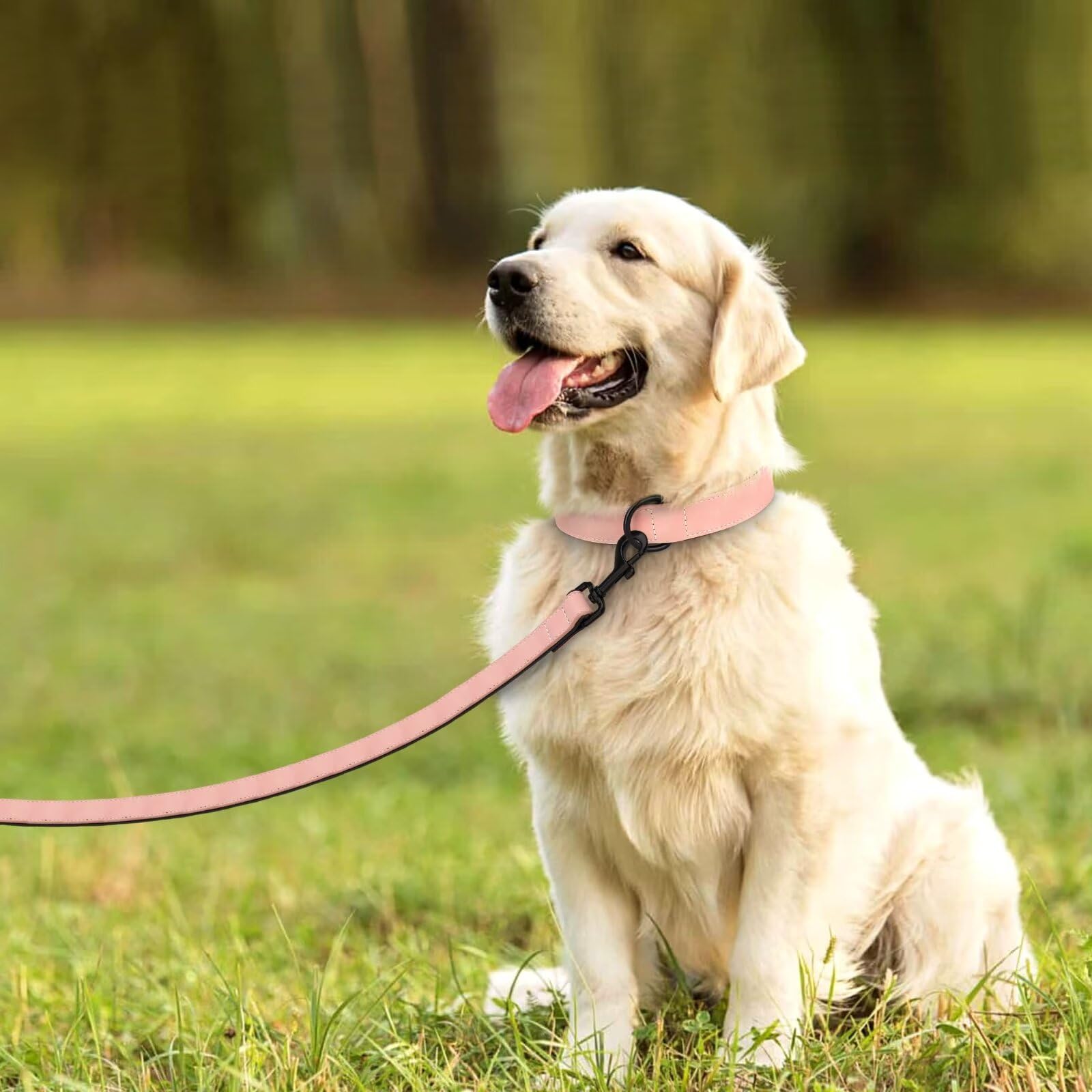 Didog Soft Padded Leather Dog Collar And Leash Set, Heavy Duty Dog Lead And Collar Set With Metal Buckle, Breathable Pet Collars