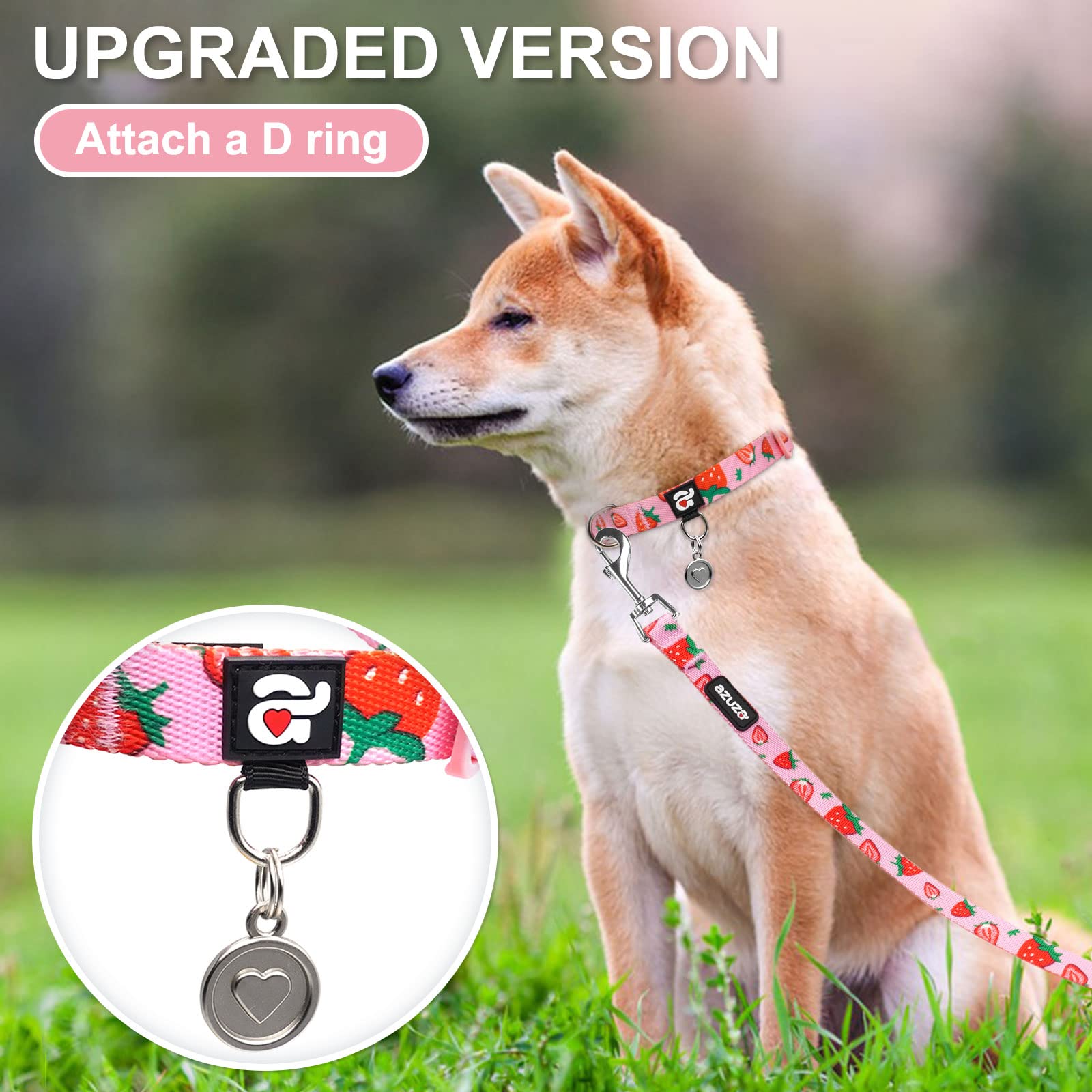 Azuza Dog Collar And Leash Set Strawberry Pattern On Pink Nylon Collar And Matching Leash, Great Option For Small Dogs