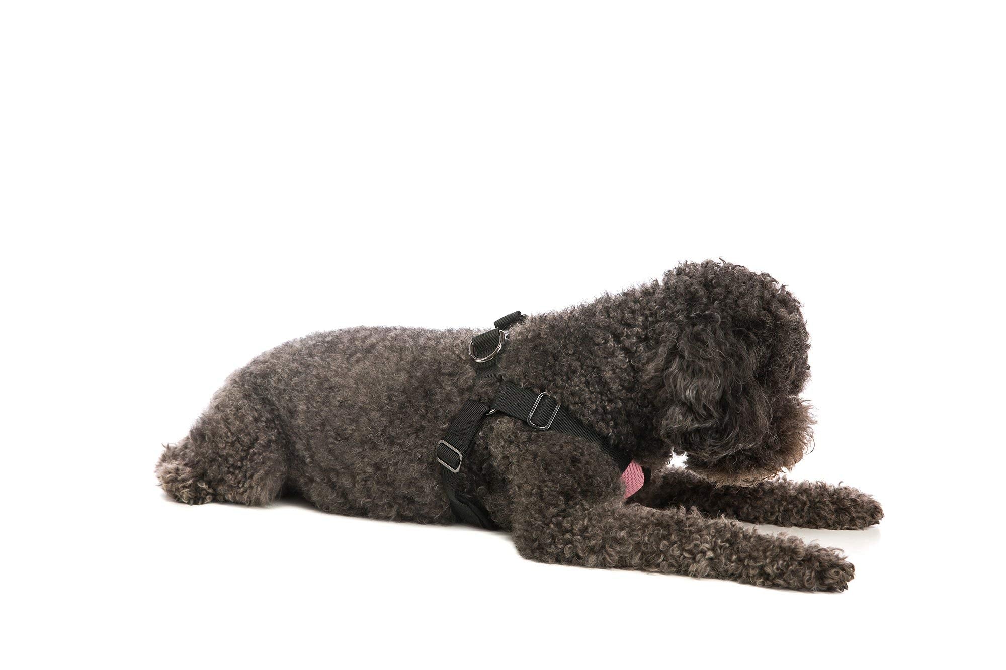 Gooby Comfort X Step in Harness - Pink, Medium - No Pull Small Dog Harness Patented Choke-Free X Frame - Perfect on The Go Dog H