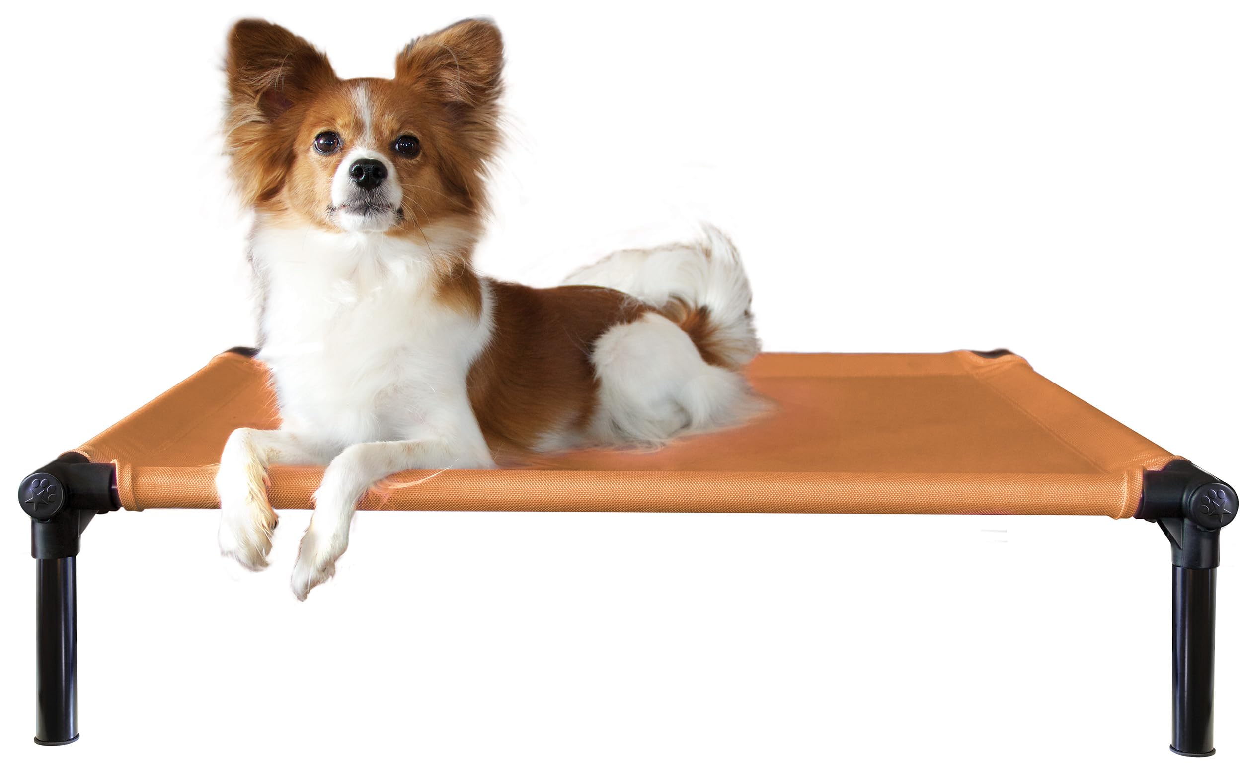 Starmark Dog Zone Bed Medium Sunset Gold
