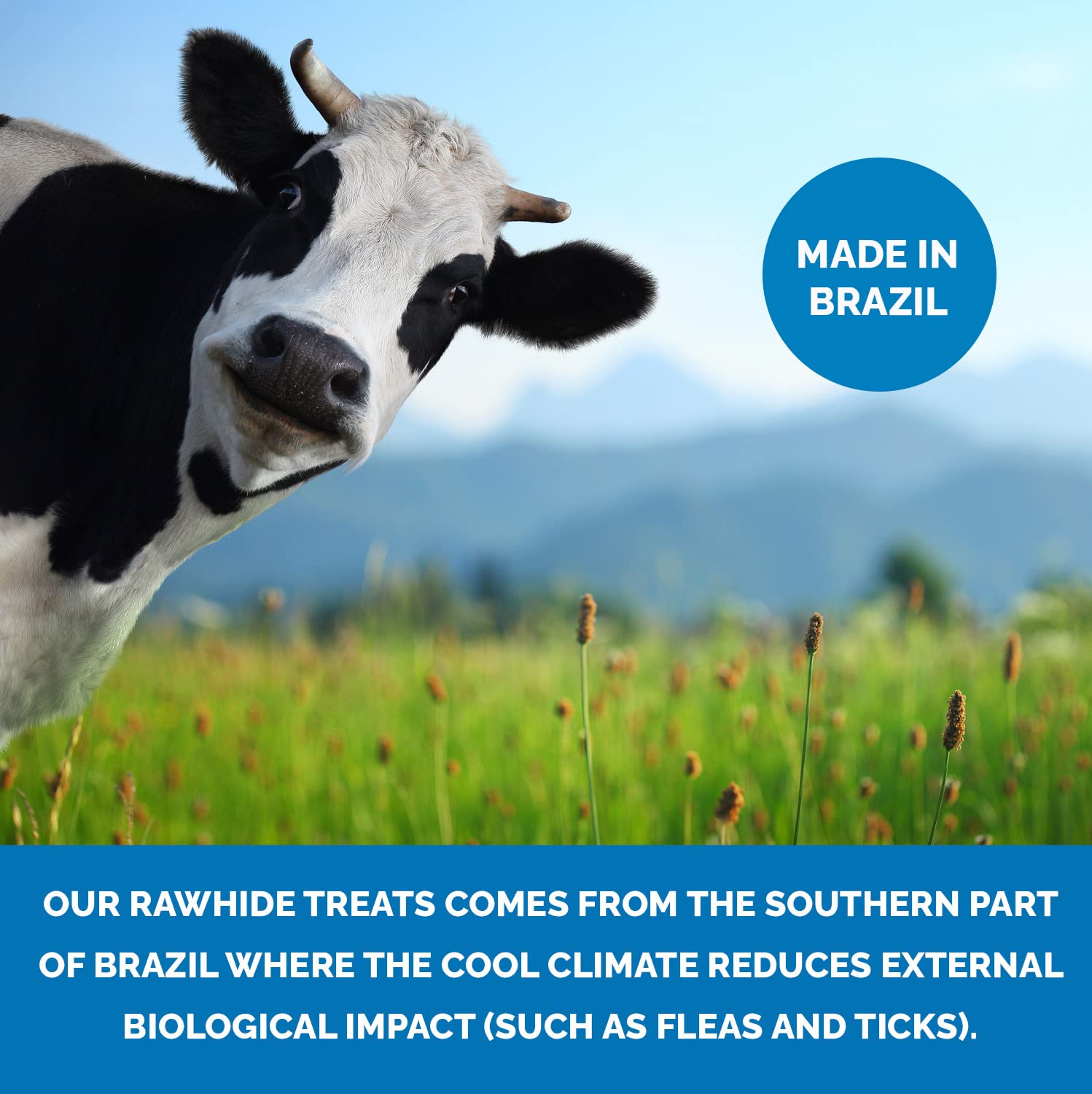 123 Treats Rawhide Chips, Premium Rawhide Dog Chews, Natural Grass Fed Livestock with No Hormones, Additives or Chemicals, Tasty