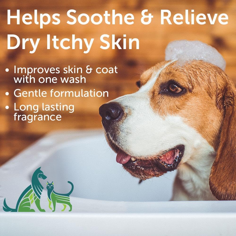 Nootie Oatmeal Pet Shampoo for Sensitive Skin - 16 oz - Cucumber Melon - Gentle & Natural Ingredients for Cleansing and Conditioning