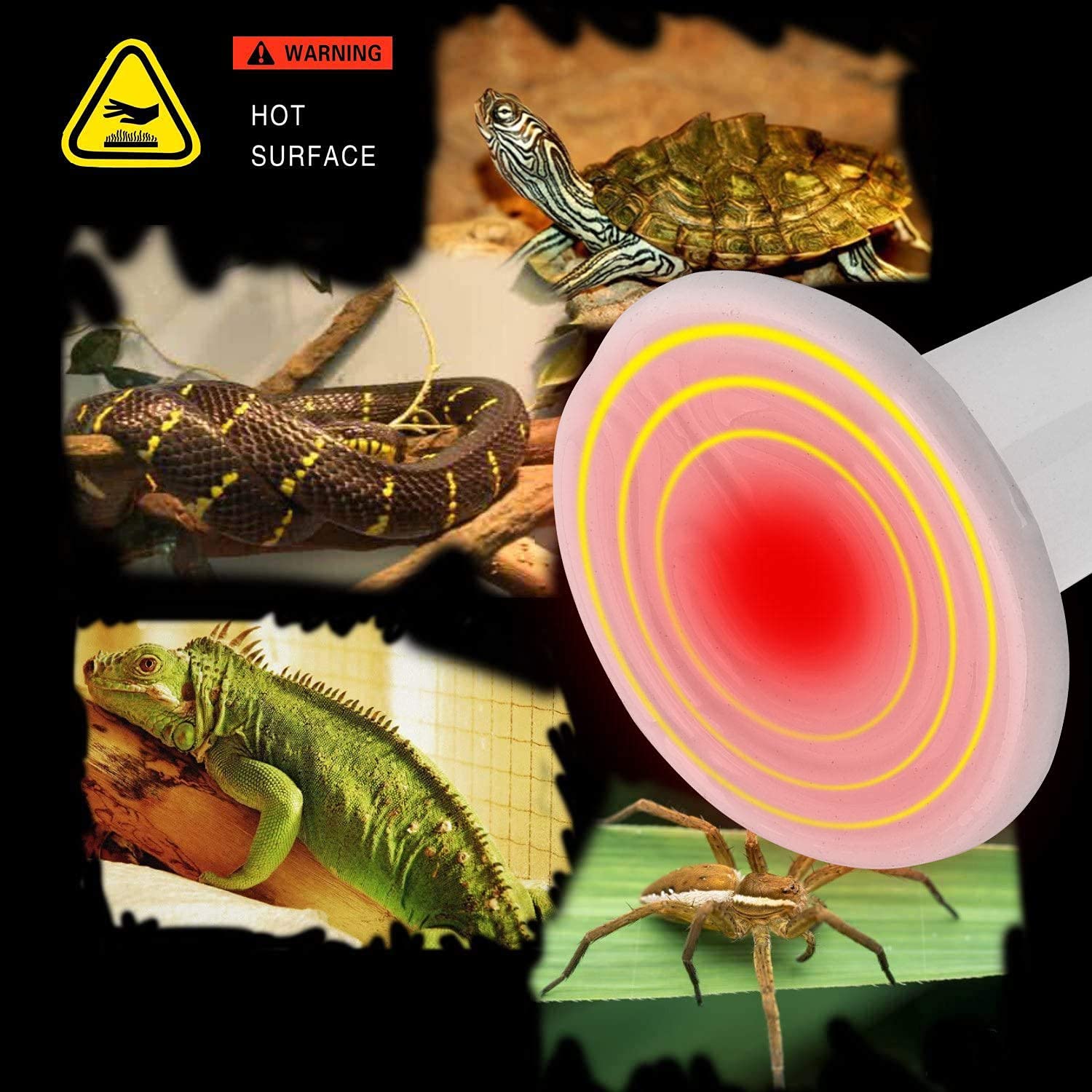2 Pack 75W Ceramic Heat Emitter, Reptile Heat Lamp Bulb, Infrared Ceramic Heat Lamp For Reptiles, Amphibians, Chicken Brooder Co