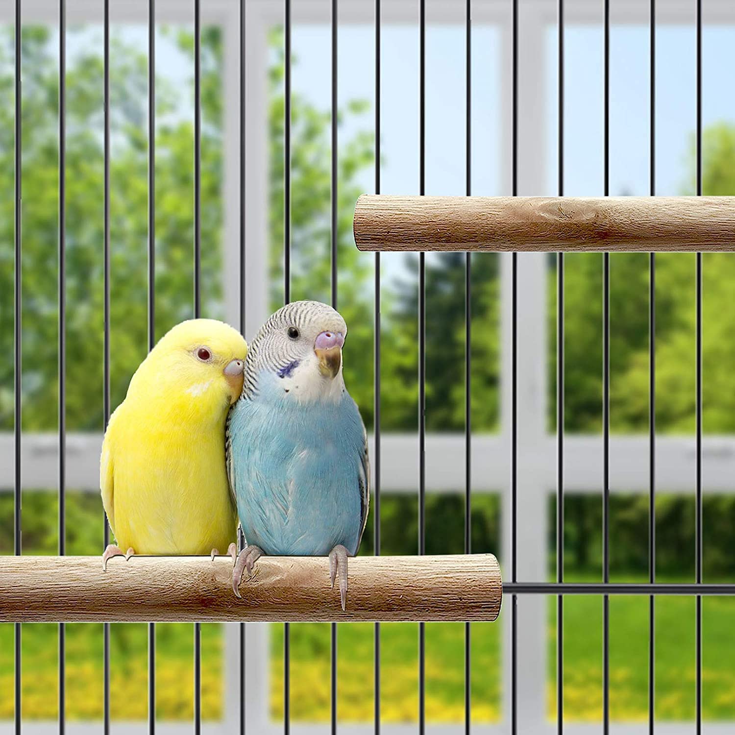 Tfwadmx 8 Pcs Parakeet Perch Bird Stand Toy Natural Wood Platform Grinding Nail Cage Accessories For Small Birds Cockatiels Lovebirds Budgie Parrots