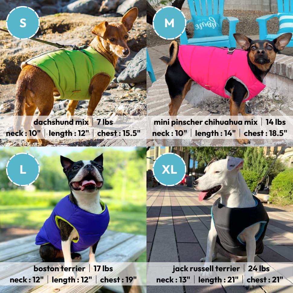 Gooby Padded Vest Dog Jacket - Solid Turquoise, Small - Warm Zip Up Dog Vest Fleece Jacket with Dual D Ring Leash - Water Resist