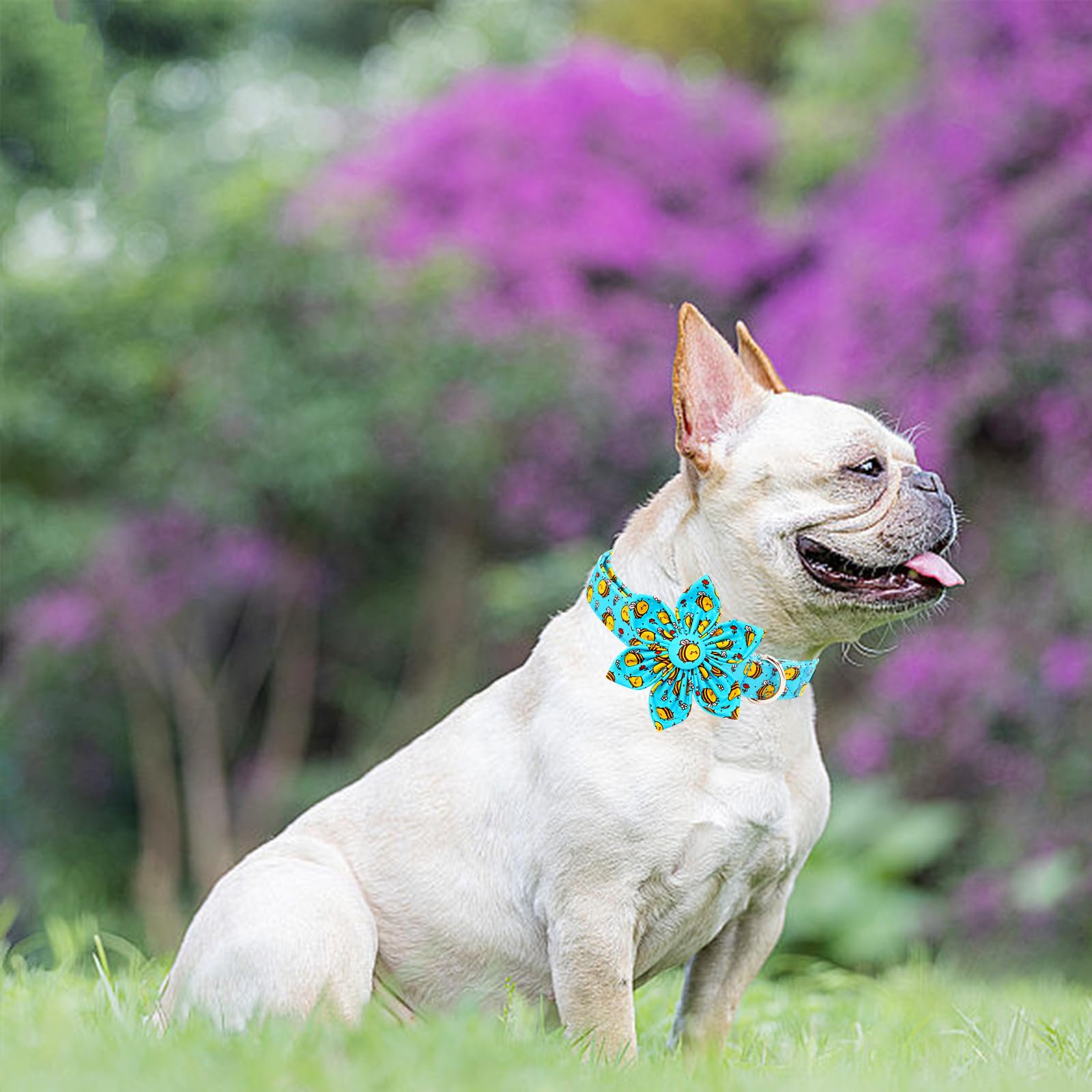 Lionheart Glory Dog Collar With Flower Dog Collar For Medium Dogs, Bees Print Dog Flower Collars Spring Blue Cute Collars Pet Co