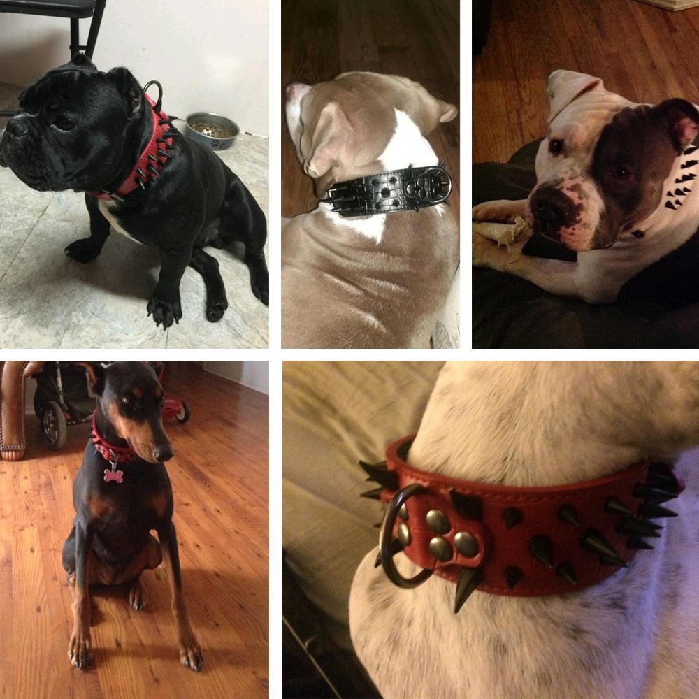 Berry Pet Sharp Spiked Studded Dog Collar - Stylish Leather Dog Collars - 2 Inch In Width Fit For Medium & Large Dogs - Such As Pitbull Mastiff - Black Rivets & Black Leather,21-24'