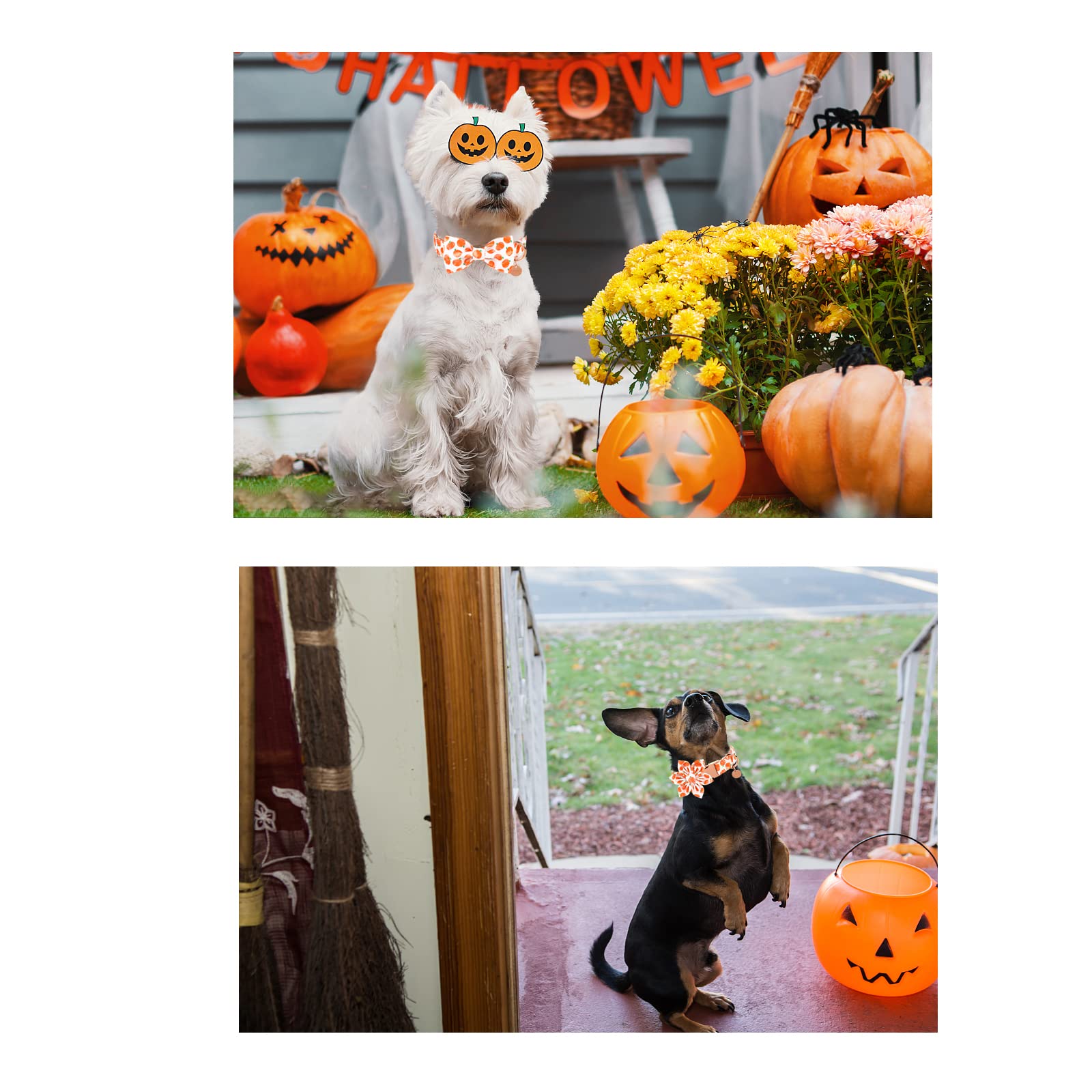 Up Urara Pup Halloween Dog Collar With Flower, Pumpkin Cotton Flower Collar For Small Girl Boy Dog, Fall Dog Collar Flower With Durable Metal Buckle, Adorable Pumpkin Pet Collar, S, Neck 10-16In