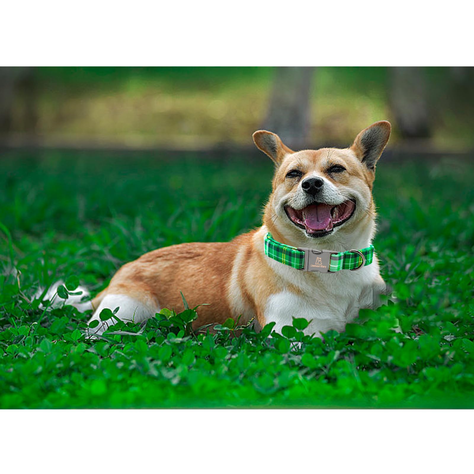 Lionheart Glory St. Patrick'S Day Collar - Green Plaid, Adjustable Heavy-Duty Collar For Small Dogs