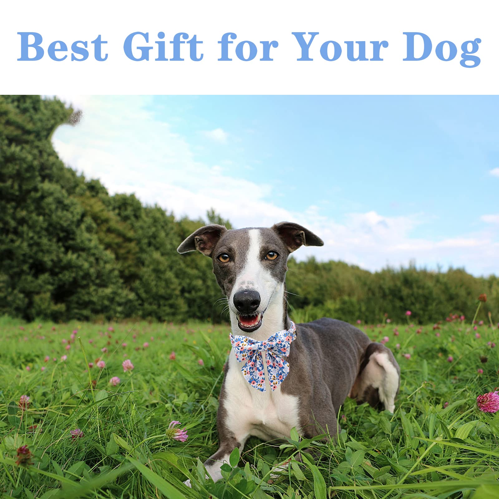 Unique Style Paws Dog Collar With Tie Adjustable Blue Bowtie Puppy Collars For Small Medium Large Dogs And Cats-S