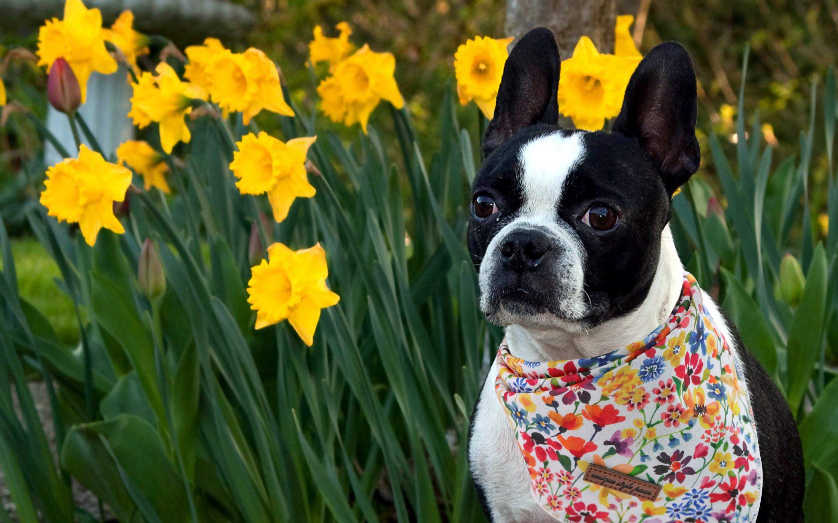 Unique Style Paws Dog Bandanas 1Pc Washable Cotton Triangle Dog Scarfs For Small Medium Large Dogs And Cats