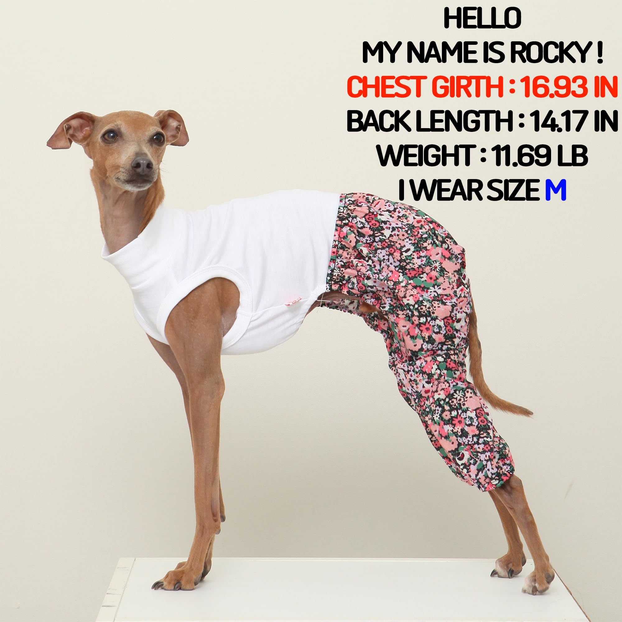 D Doggy Star Italian Greyhound Clothes Mombbe Onesie Outfit Whippet For Dog Coat (L,Mombbe Black)