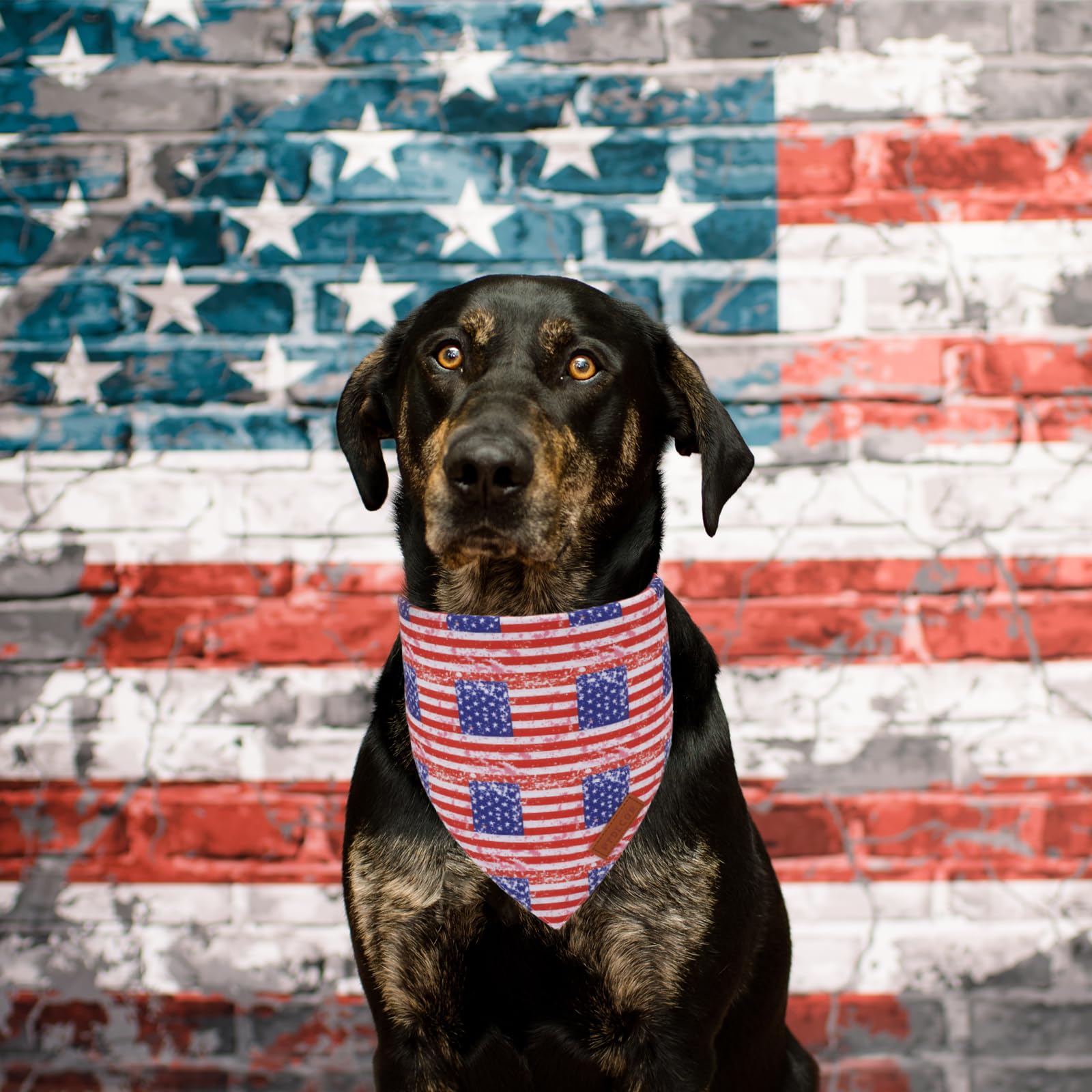 Ptdecor American Flag Dog Bandana Striped Stars Patterns, 4Th Of July Pet Scarf Reversible Triangle Patriotic Bandanas For Large