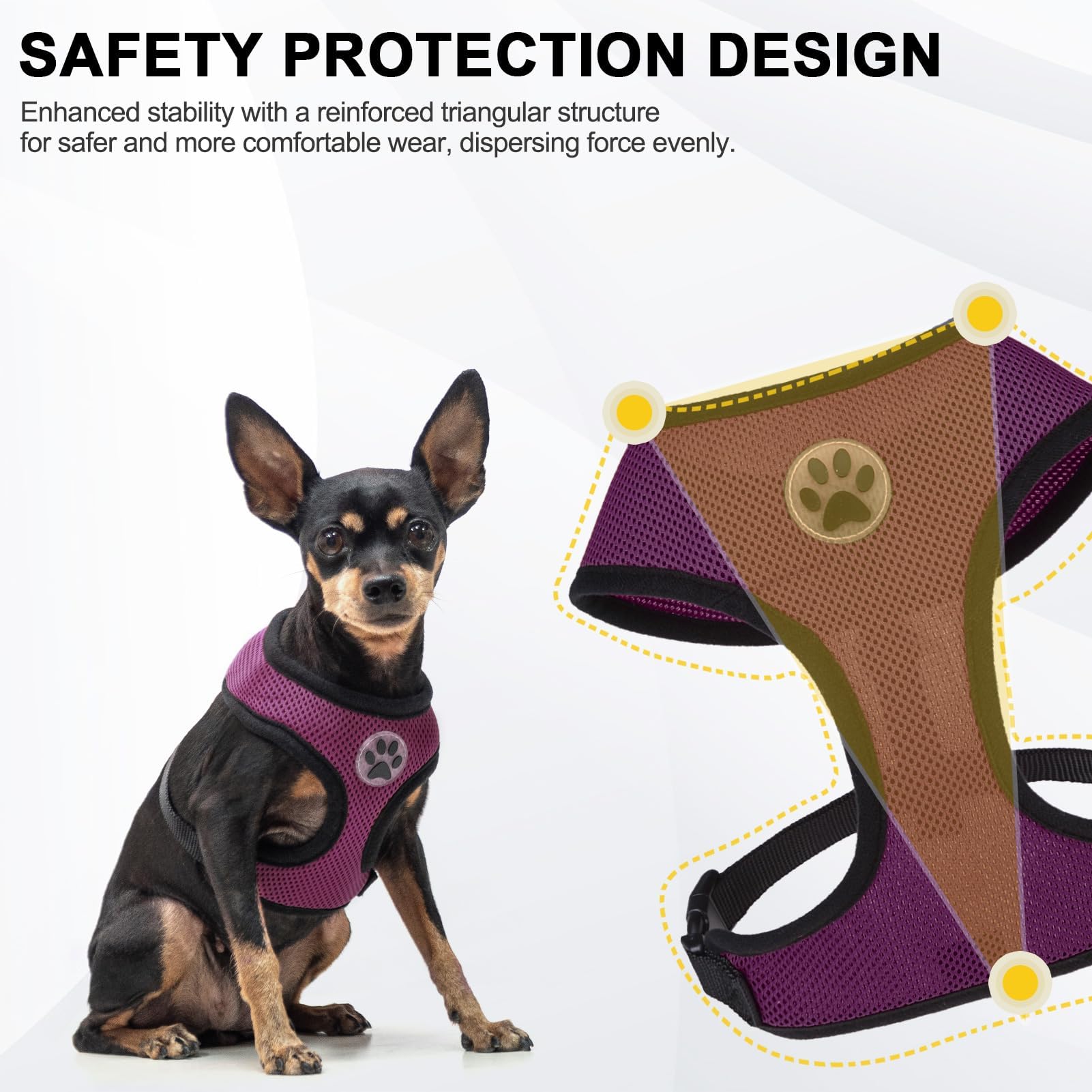 BINGPET Small Dog Harness - No Pull Adjustable Vest for X-Small Dogs, Breathable Mesh, Purple, Model BB5001C005