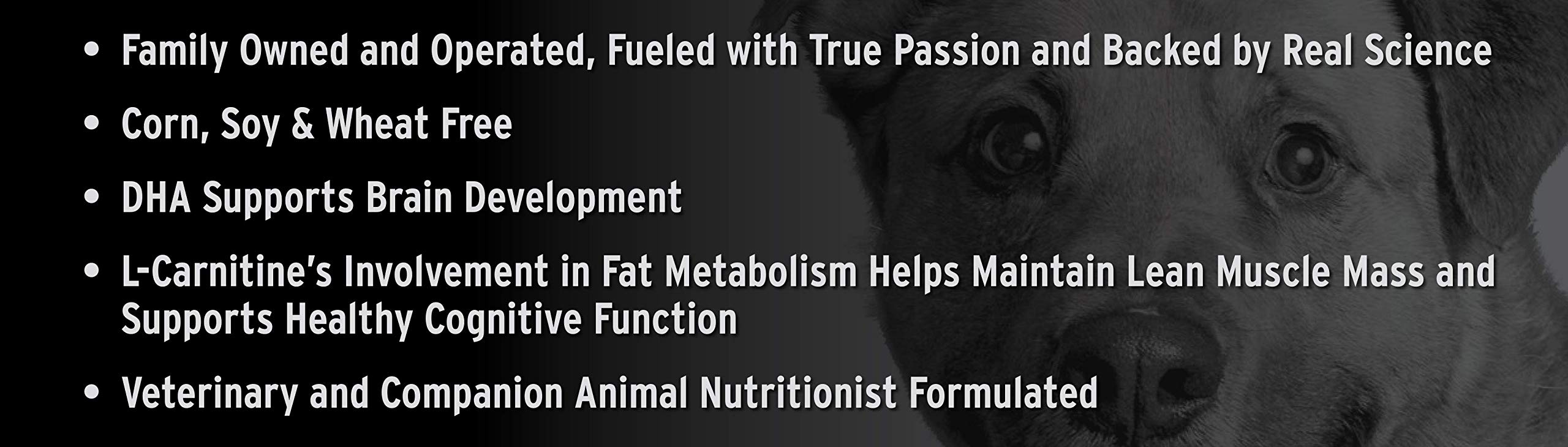 Annamaet Original Encore Formula Dry Dog Food, 25% Protein (Chicken & Brown Rice), 25-lb Bag