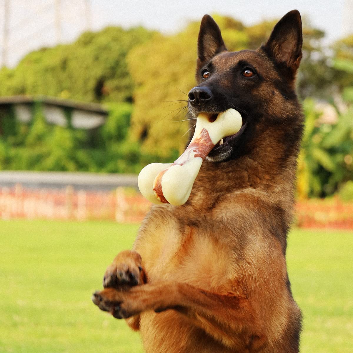 Tikaton Dog Chew Toys For Aggressive Chewers, Peanut Butter Flavor Durable Dog Teething Chew Toys Bones For Large/Medium/Small P