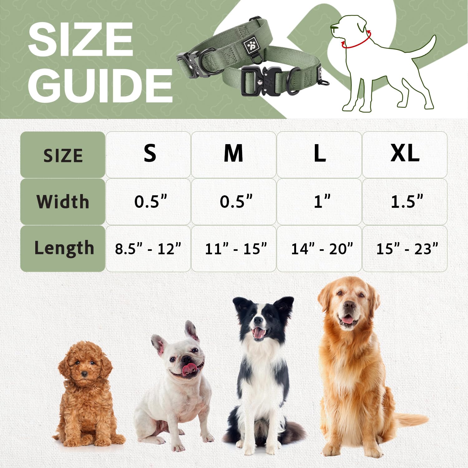 Pawspassion Heavy Duty Dog Collar For Small Dogs, Chew Proof Metal Hardware, Reinforced Nylon Dog Collar With Metal Quick-Releas