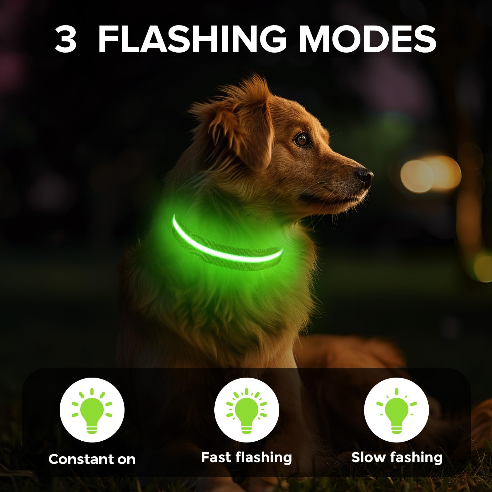 Led Dog Collar For Night Walking,Rechargeable Light Up Dog Collar Led Color,Glow In The Dark Dog Collars Waterproof For Small Me
