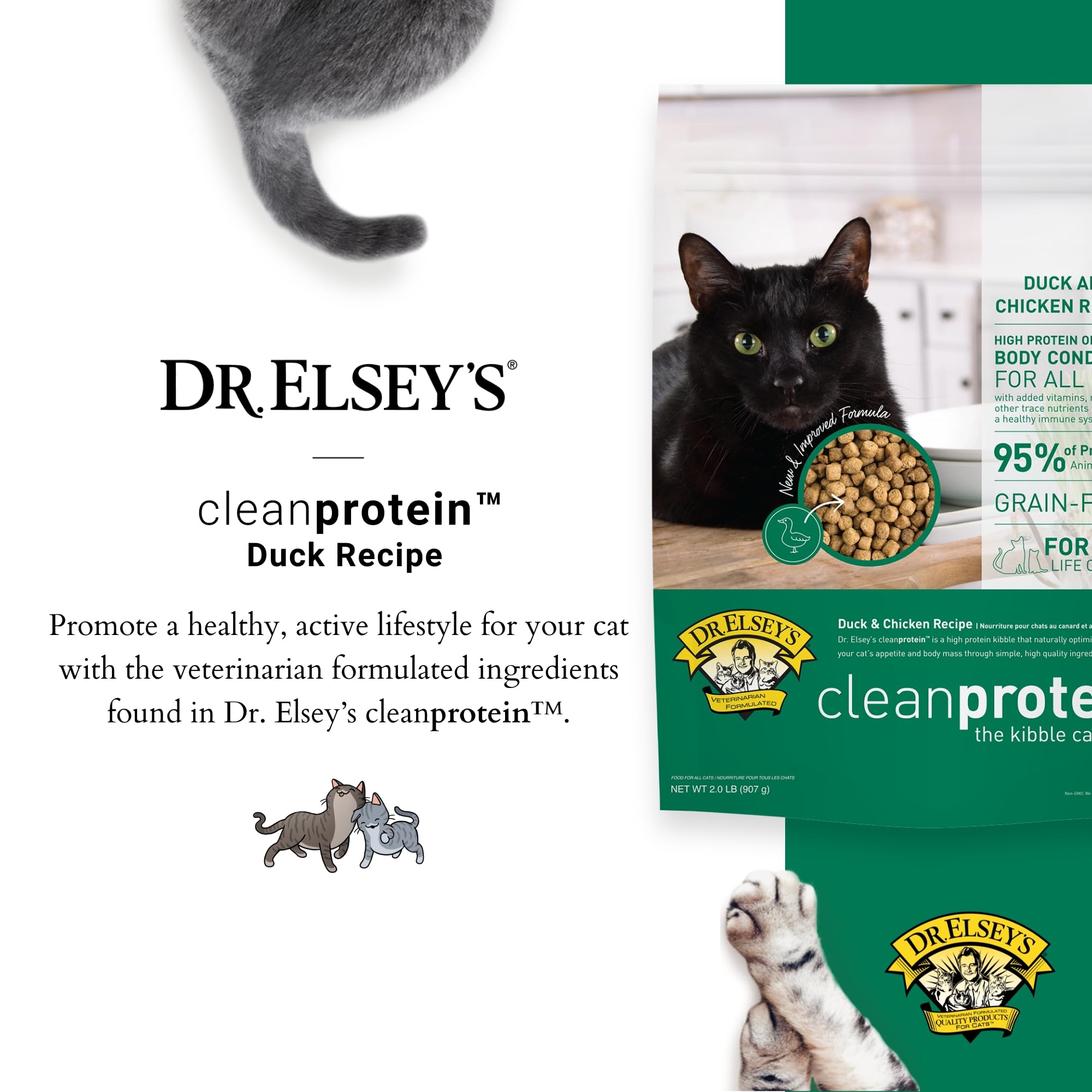 Dr. Elseys Cleanprotein Dry Kibble Duck 2lb.