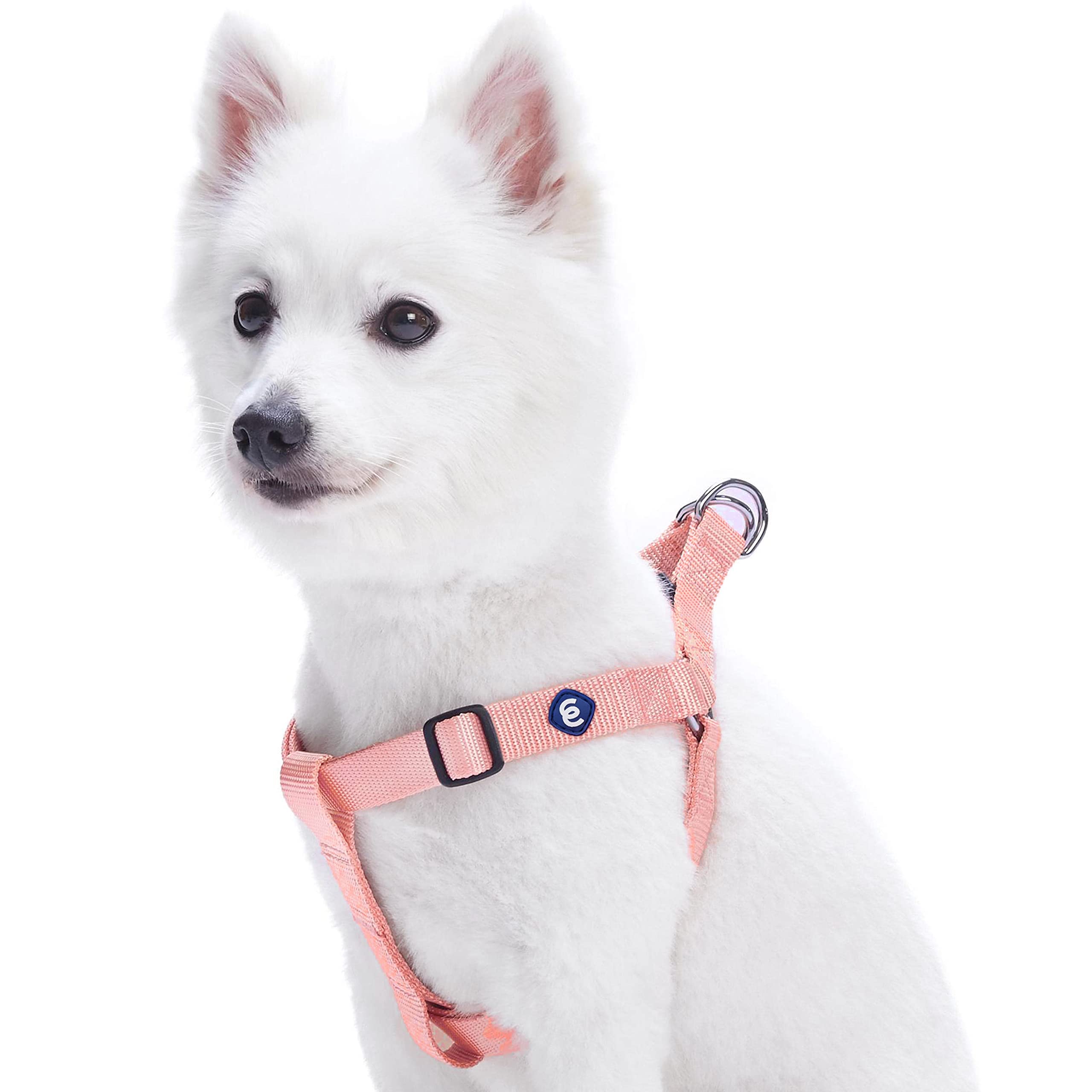 Blueberry Pet Essentials Classic Durable Solid Nylon Step-in Dog Harness, Chest Girth 16.5 - 21.5, Black, Small, Adjustable Harn