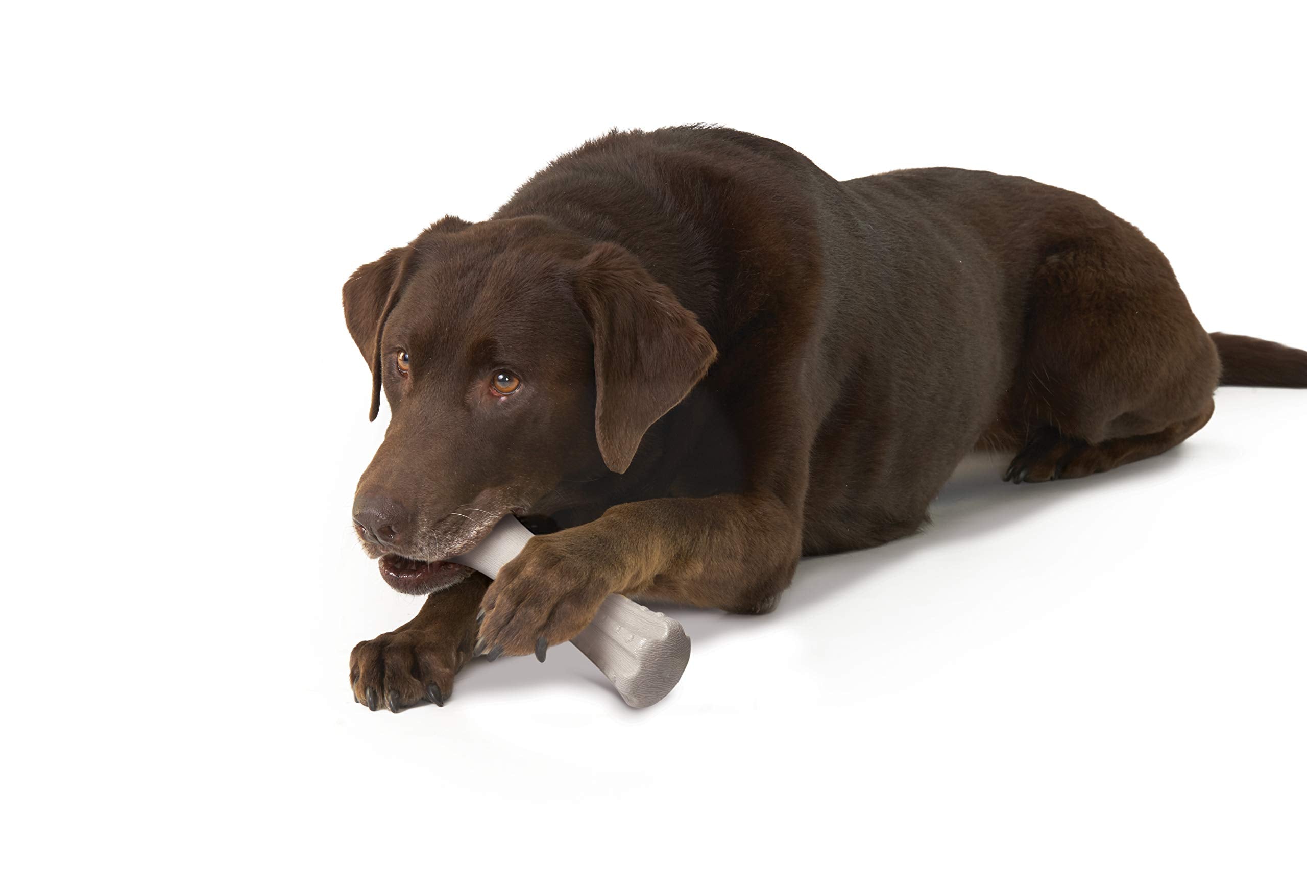 Petstages Deerhorn Antler Alternative Dog Chew Toy - Large, Durable, Safe Chew for Aggressive Chewers - Ideal for Dogs of All Sizes