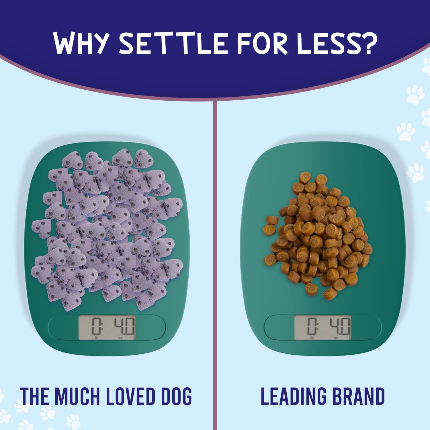 Much-Loved Dog™ Blueberry BUNDLE