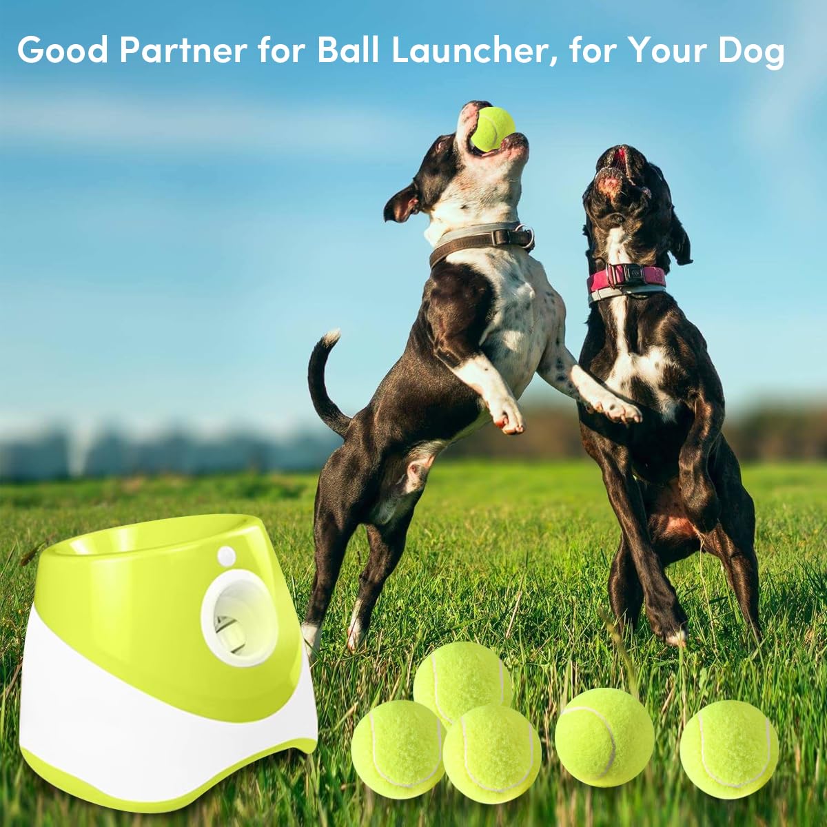 Ziyize Mini Tennis Balls, 6 Pack 2 Inch Dog Tennis Balls, Easy Catching Pet Playing Ball For 2 Inch Dog Ball Launcher