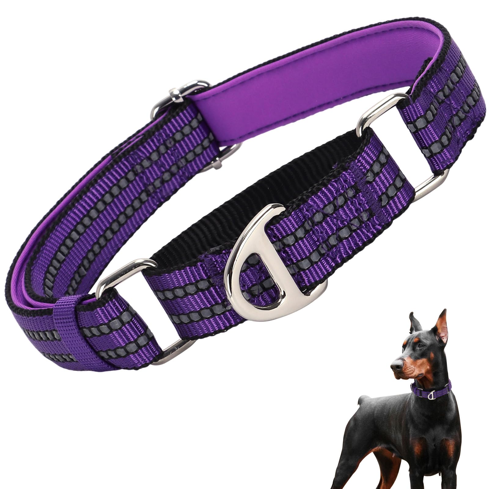 Martingale Collar For Small Dogs With No Buckle,Reflective Nylon Padded Comfort Safe Dog Collar For Training,Nighttime Walking &