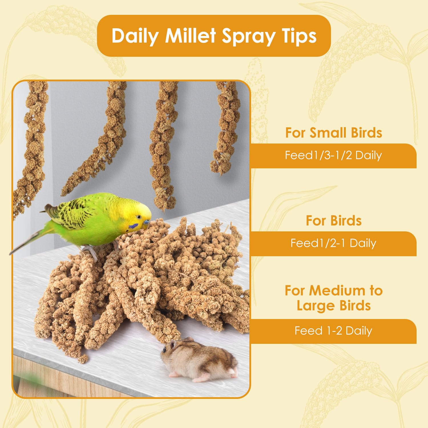 KATUMO 1.1LB Spray Millet Treat for Birds, Natual Sun-Dried Bird Millet Parrot Food for Parakeet Budgie Cockatiel Finches Lovebi