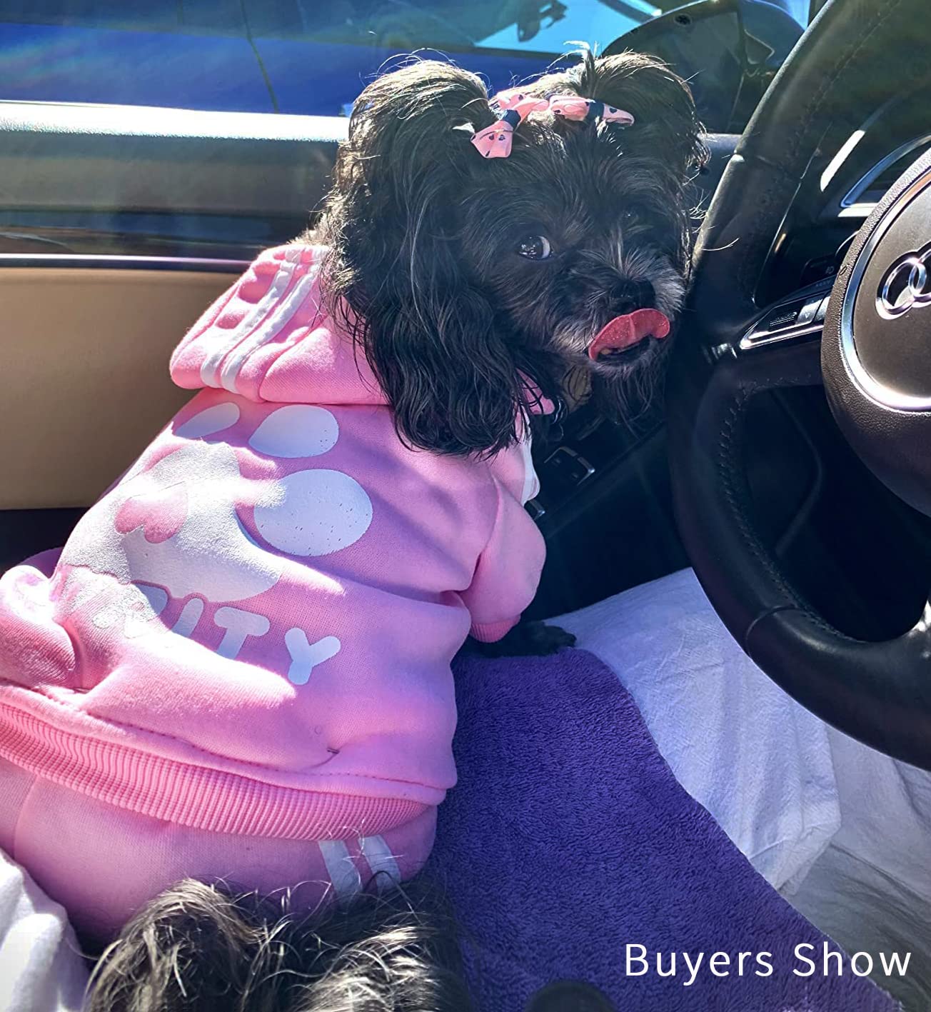 Otunrues Dog Hoodie, Dog Clothes 4 Legs Sweatshirt Security Hoodies Jumpsuit Soft & Warm Sweater Outfit Pullover Dog Winter Coat